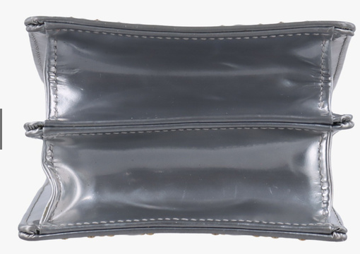 dior Diorama Silver Patent bag