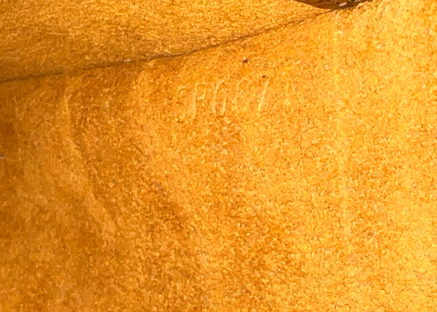 LOUIS VUITTON Musette Tango