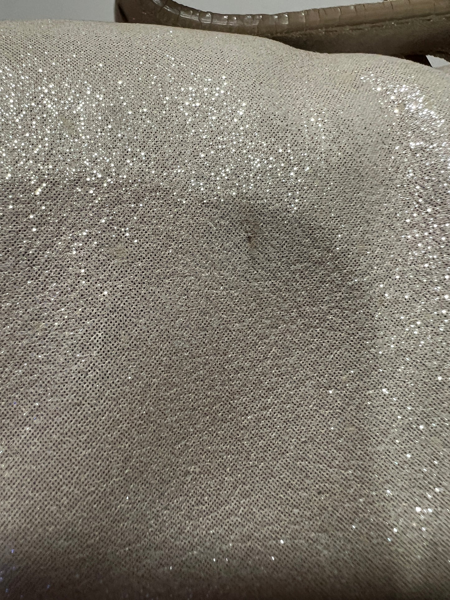 FENDI BAGUETTE Glitter Gray Nappa Leather