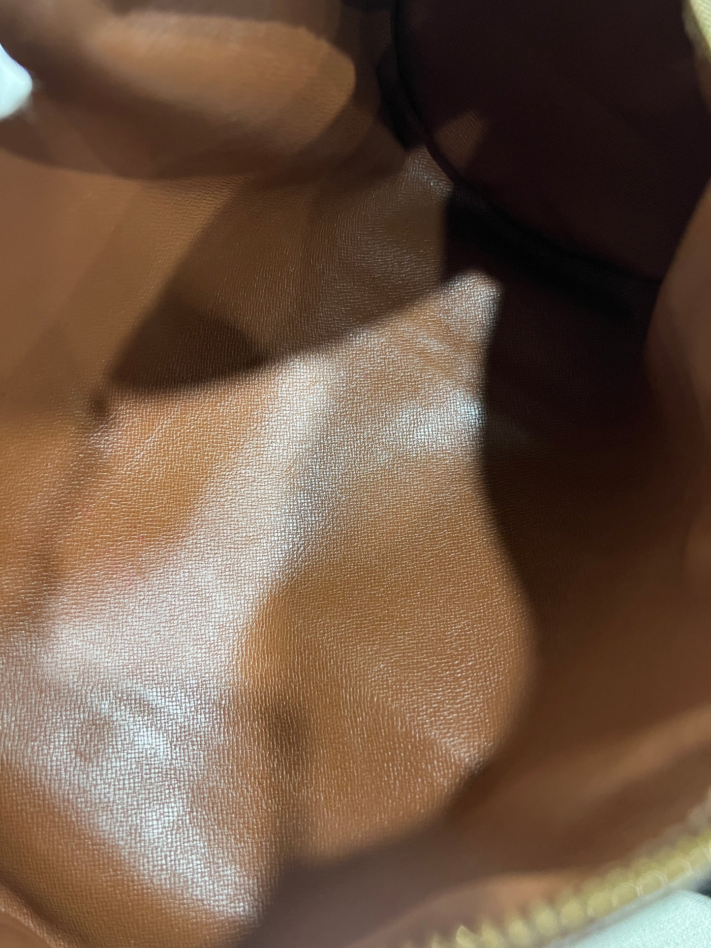 Louis Vuitton Papillon 30