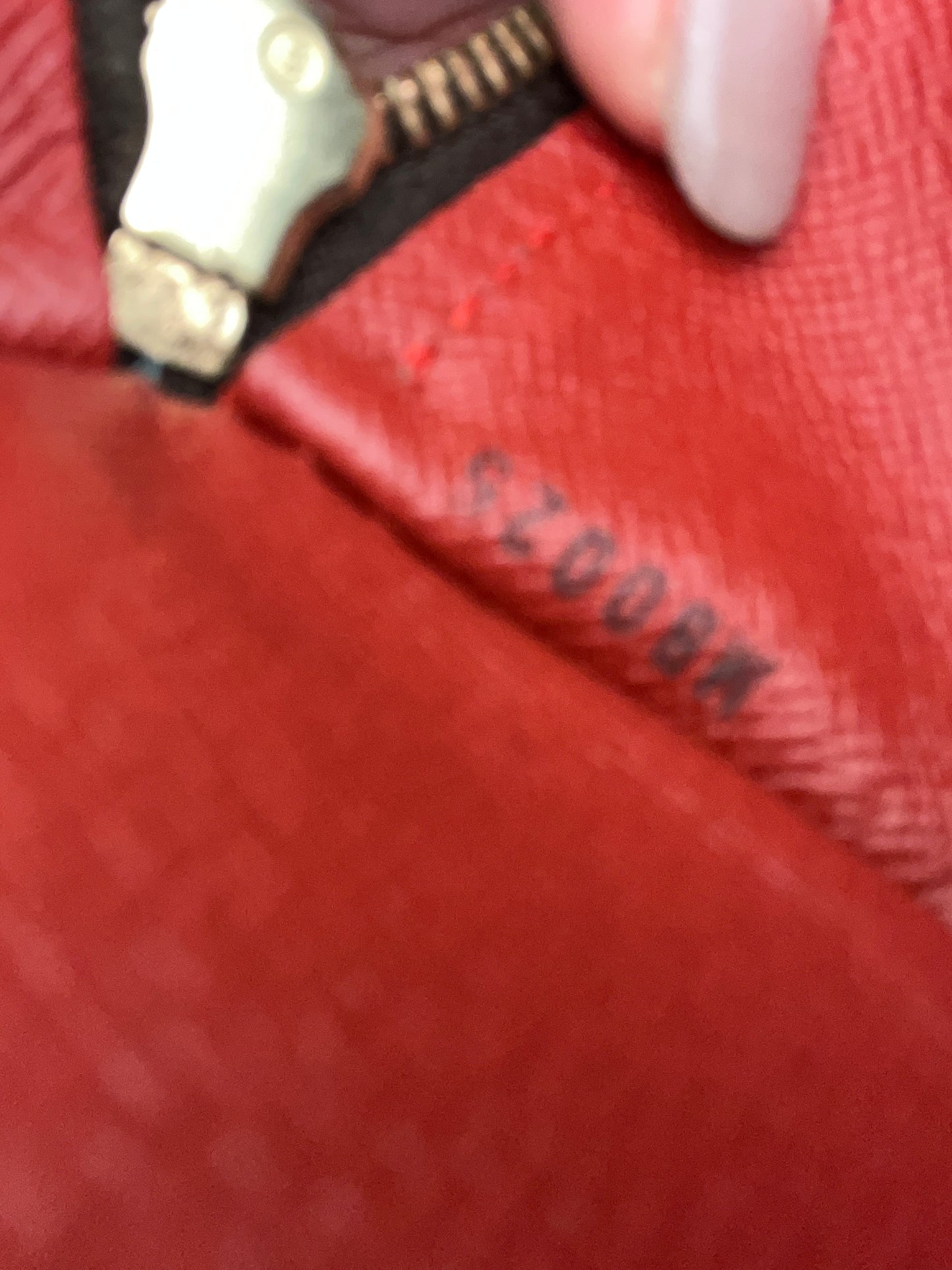 LOUIS VUITTON DAMIER PAPILLON