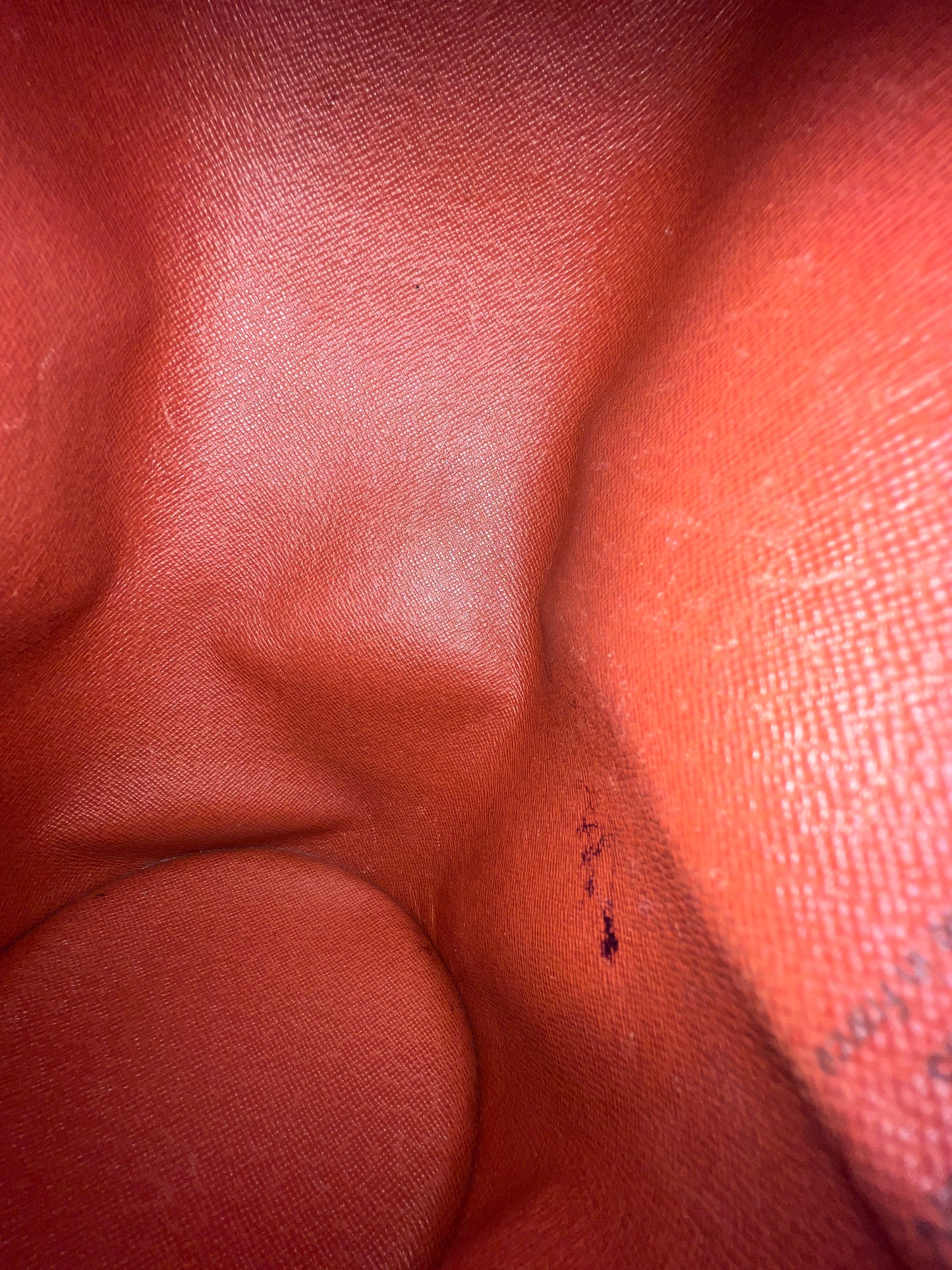 LOUIS VUITTON Papillon Damier