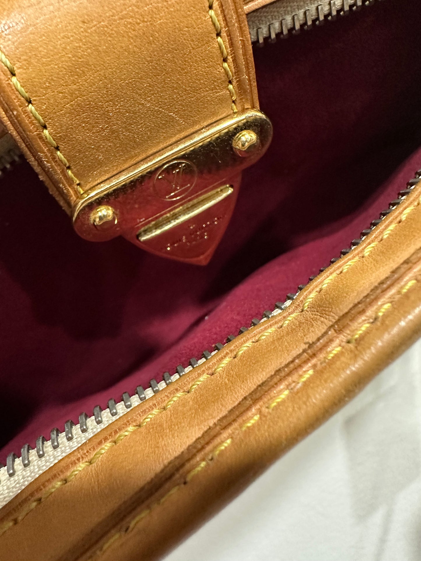 Louis Vuitton Shirley Monogram Multicolore