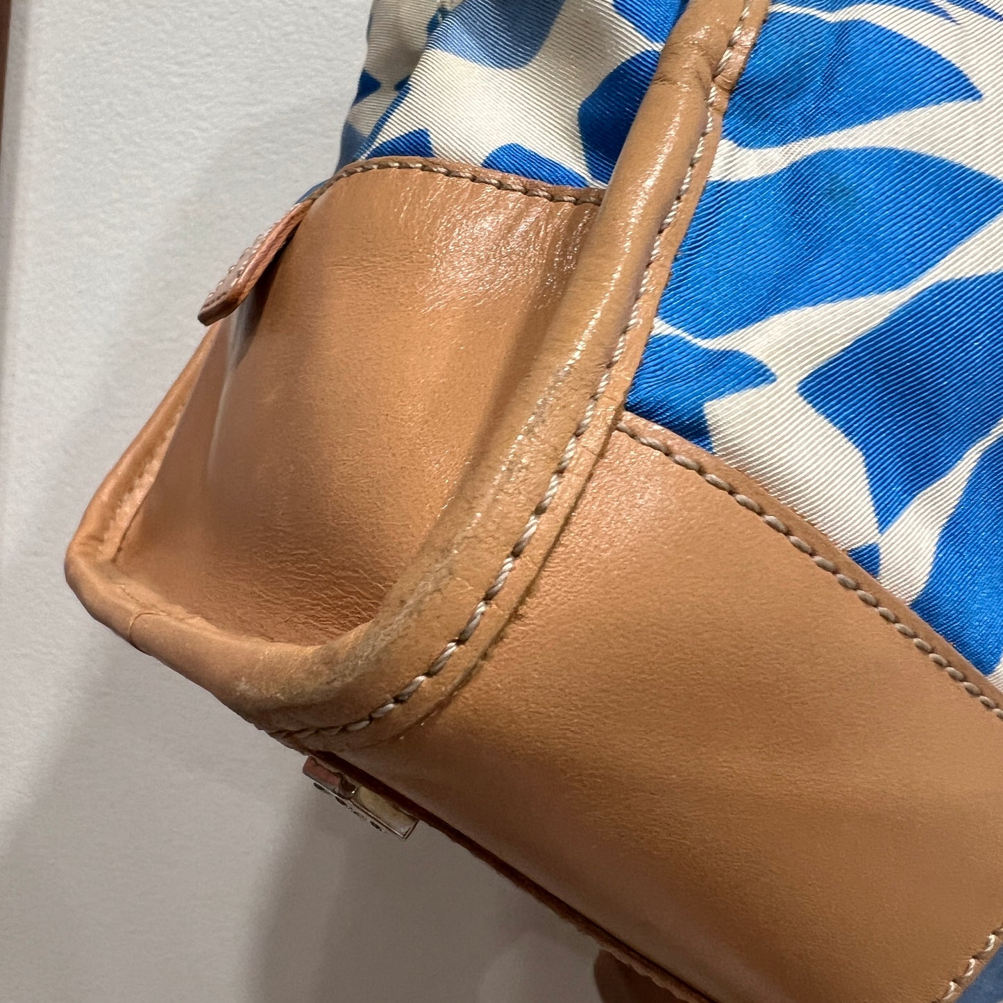 LOEWE Amazona in Blue