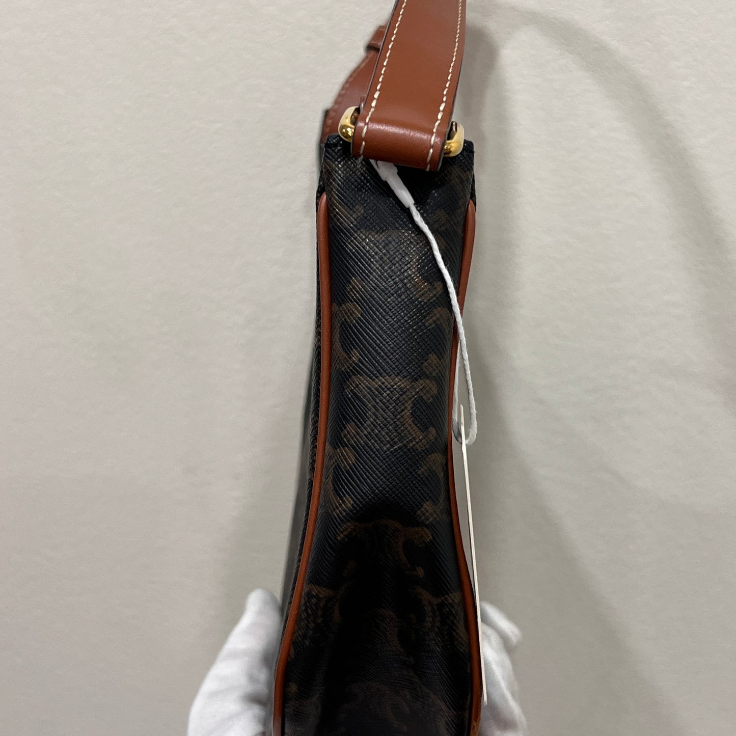 CELINE Ava Bag Triomphe Canvas