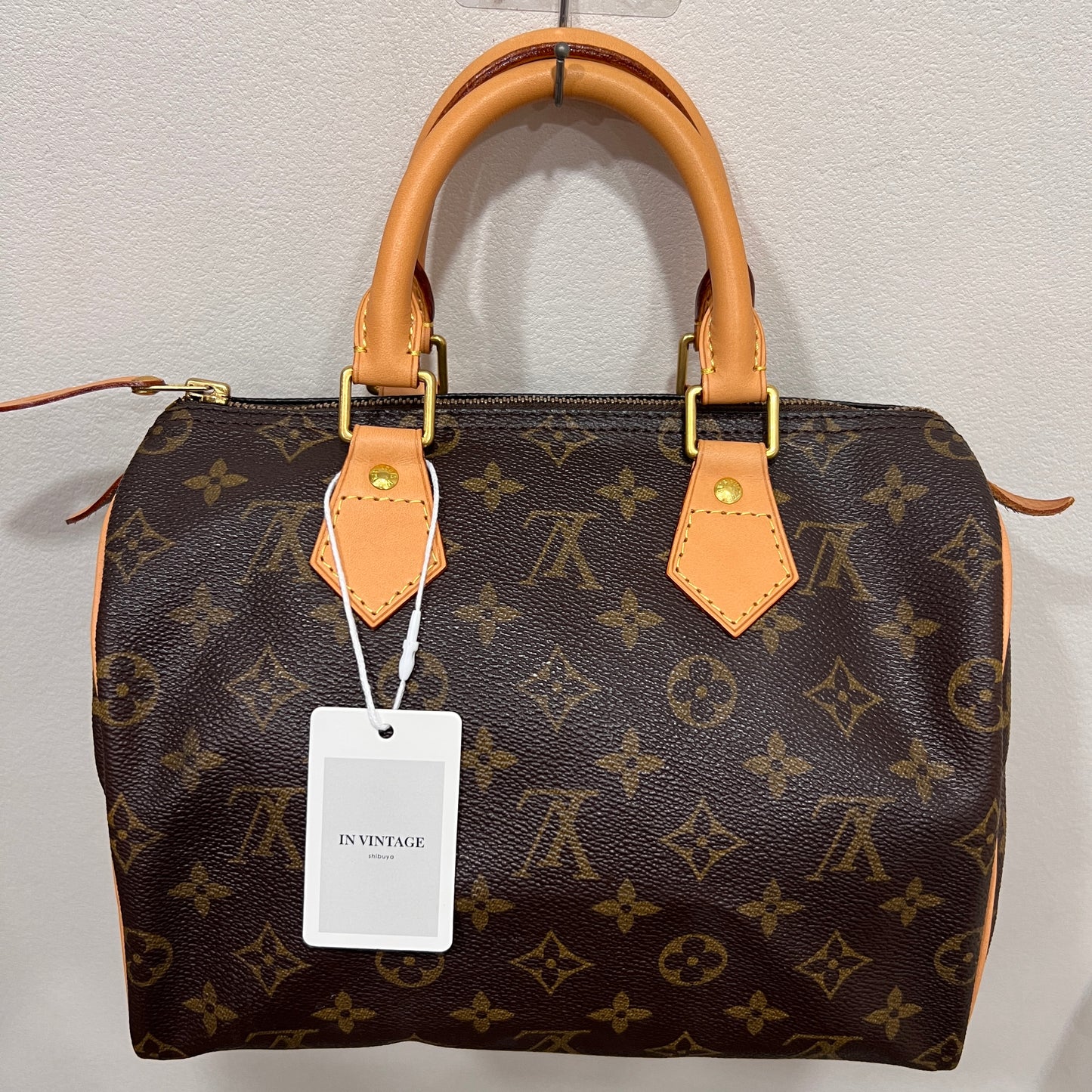 LOUIS VUITTON Speedy 25 (Vachetta Replaced!)
