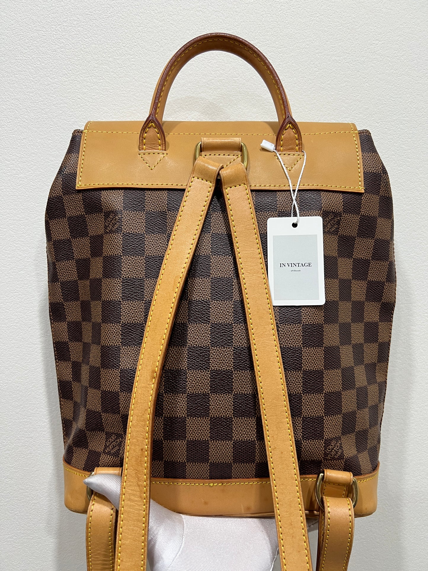 LOUIS VUITTON Arlequin Damier Backpack