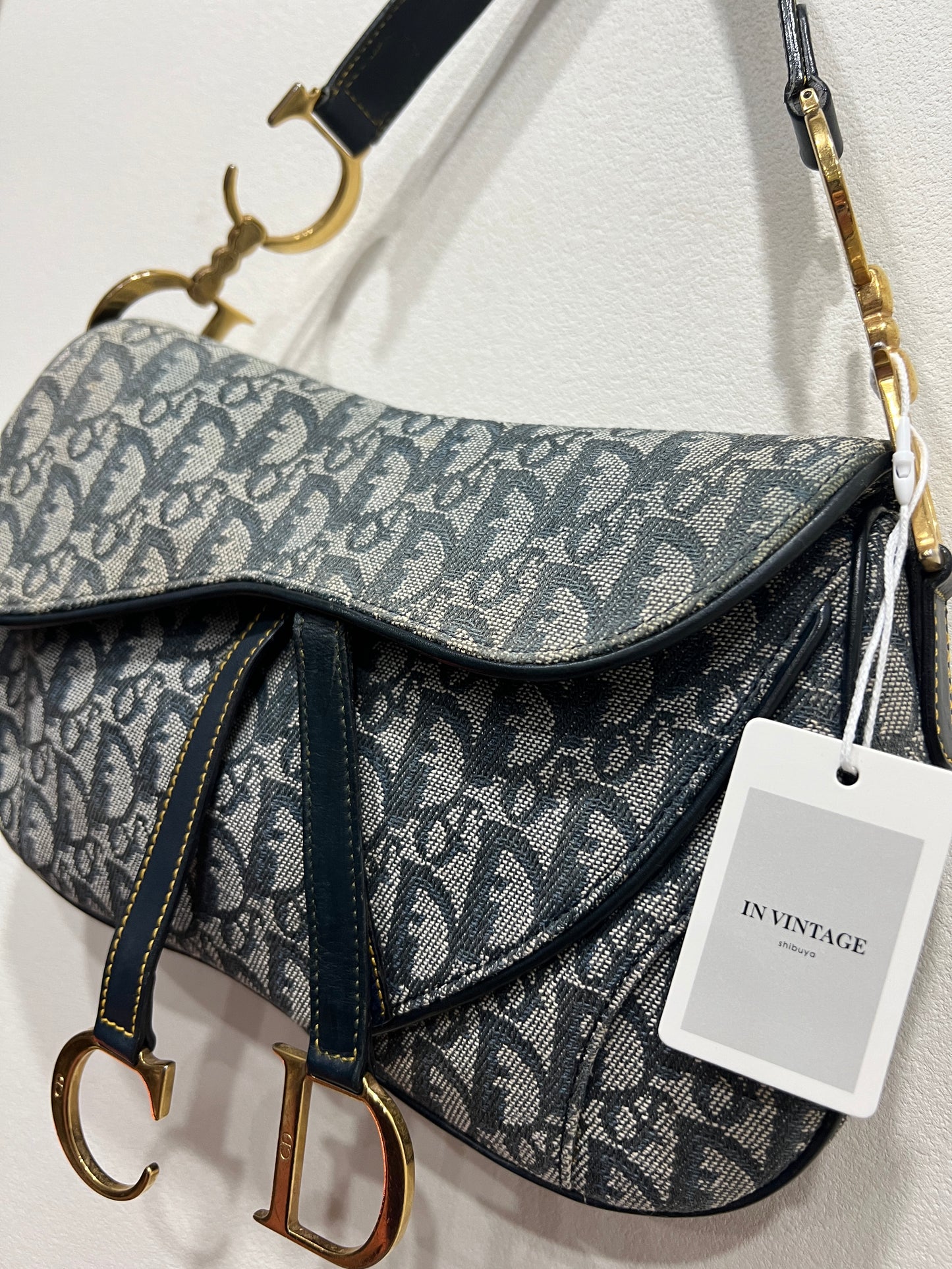 DIOR Double Saddle Bag