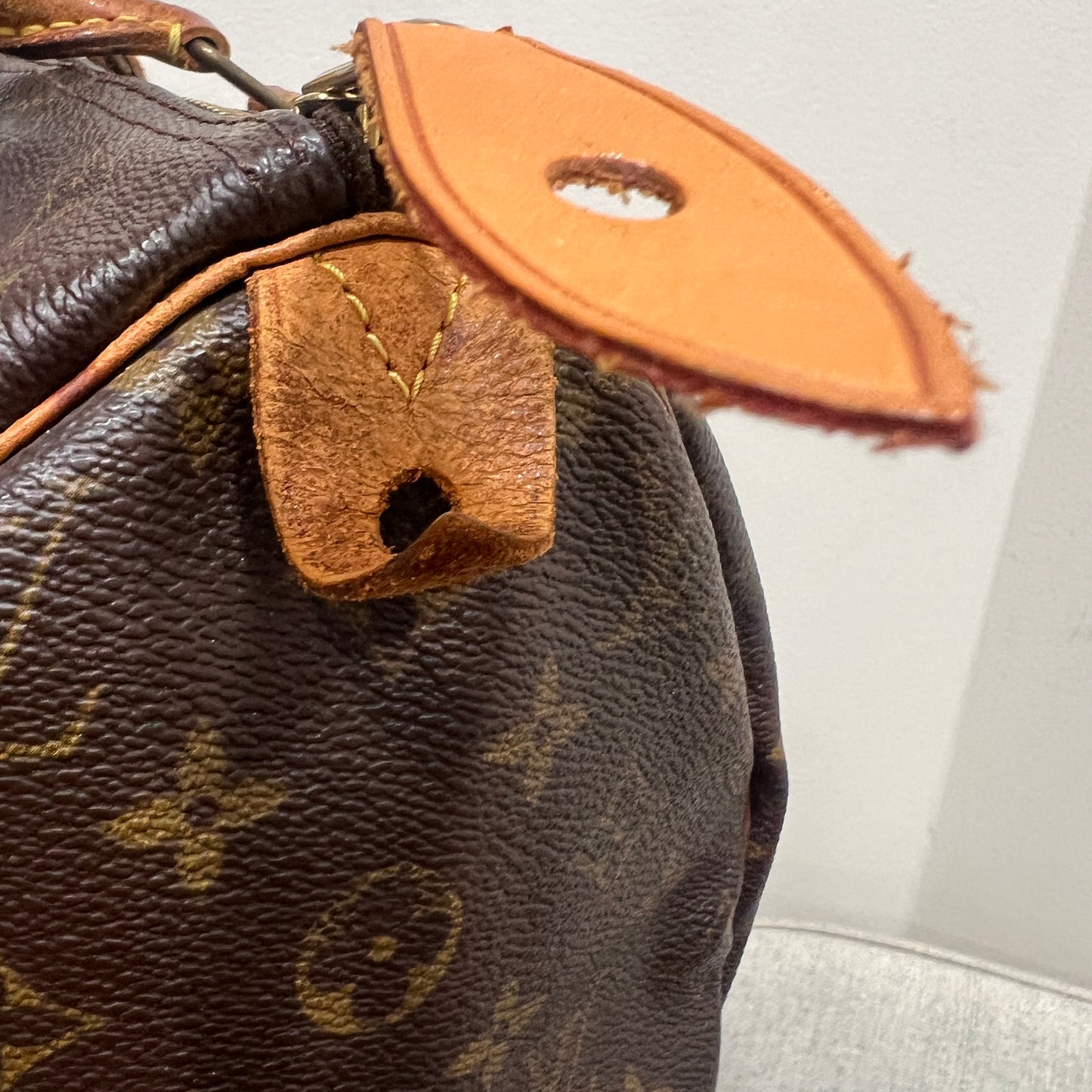LOUIS VUITTON Speedy 30