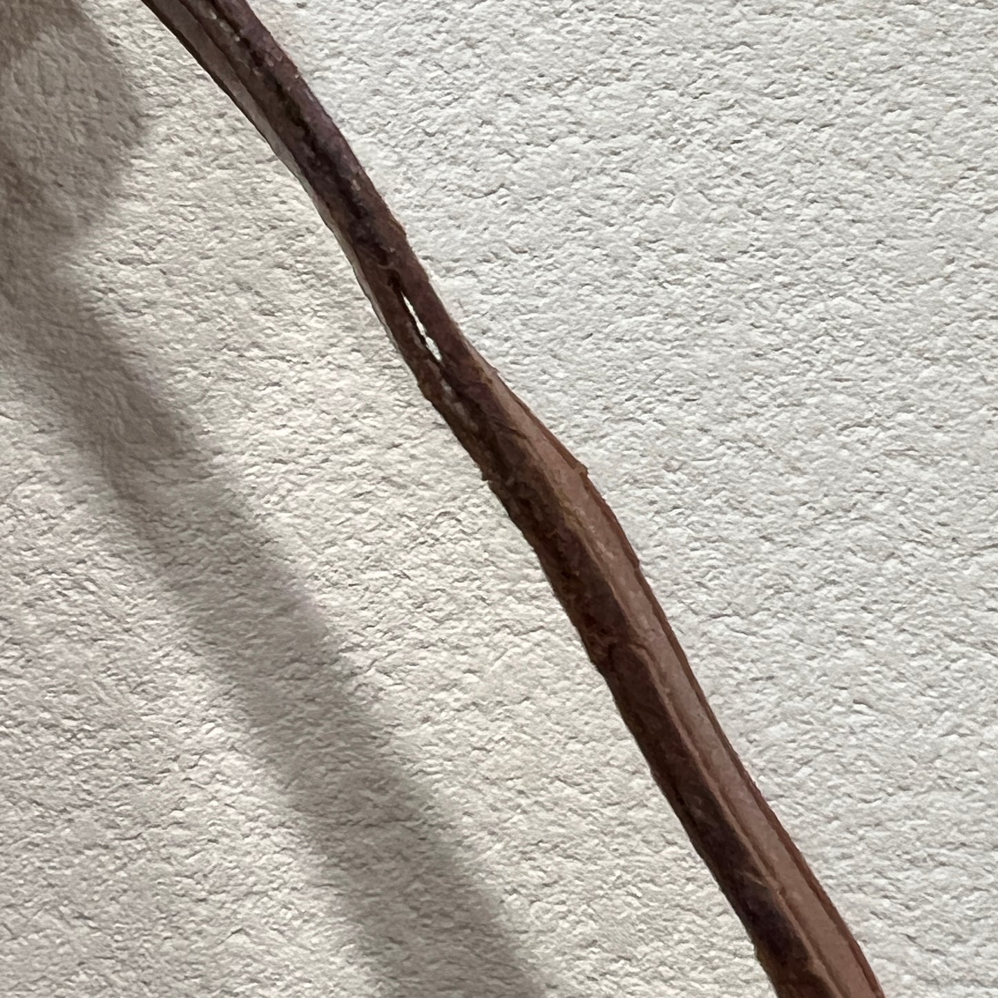LOUIS VUITTON Accessory Pochette (28-5)