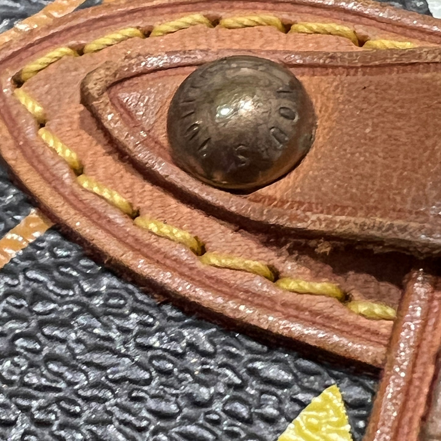 LOUIS VUITTON Multi Color Murakami