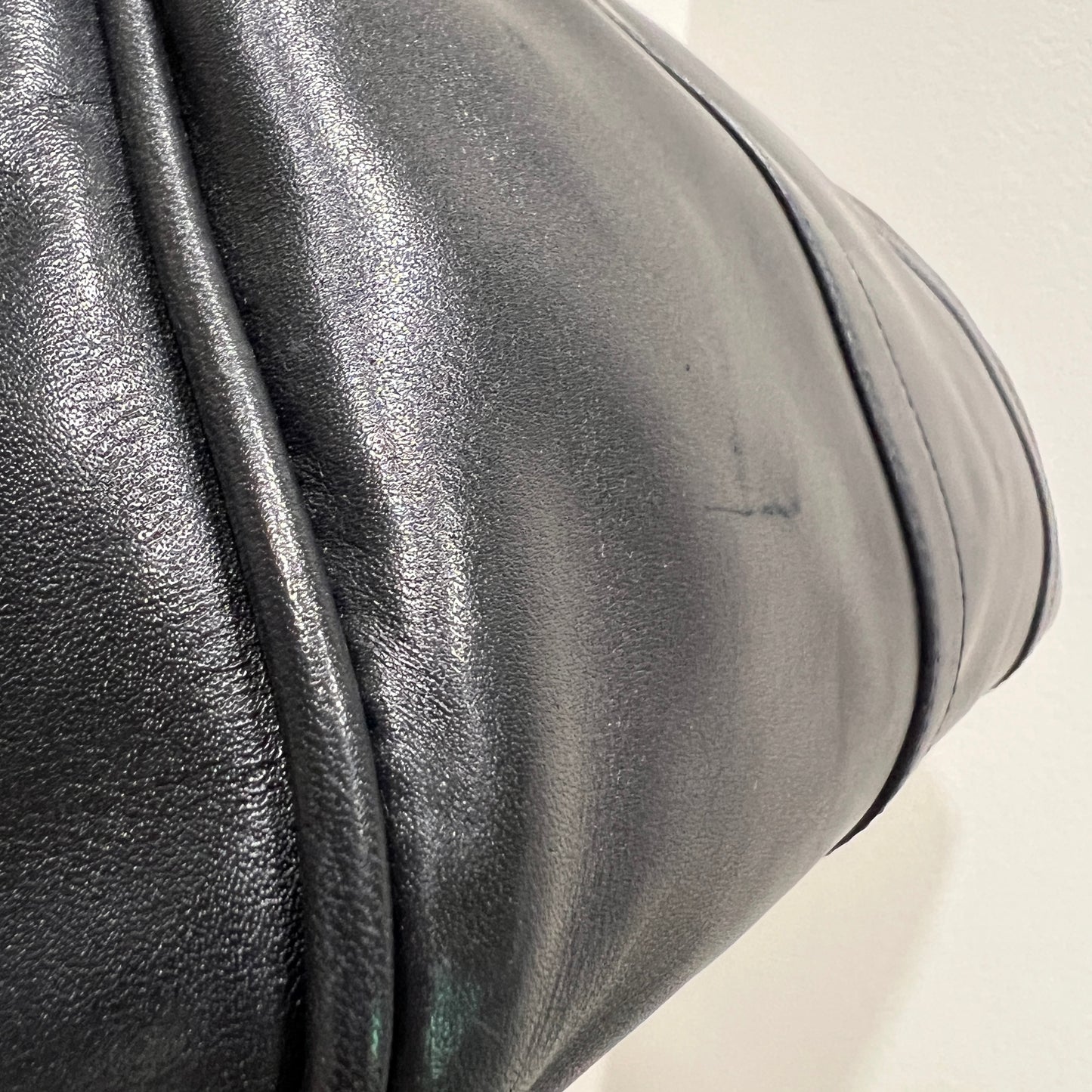 LOEWE Amazona Anagram Leather