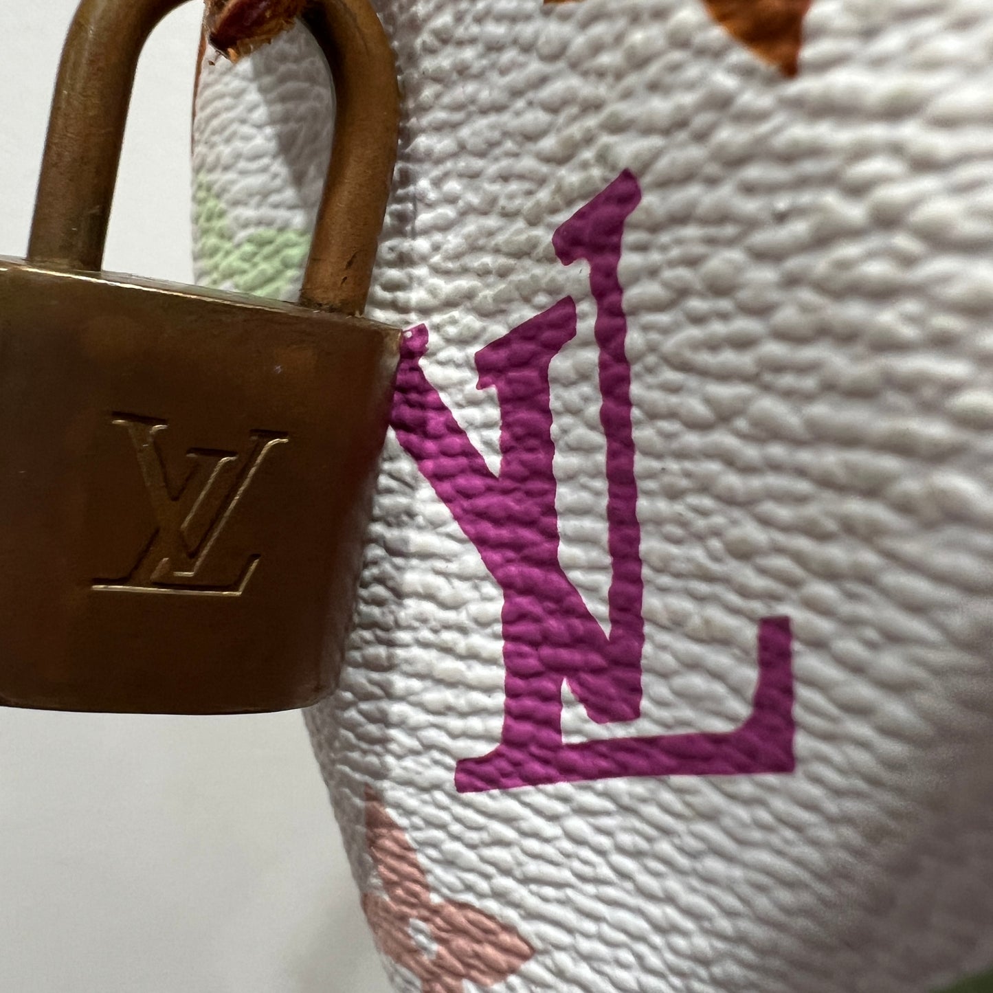 LOUIS VUITTON X MURAKAMI Nano Speedy