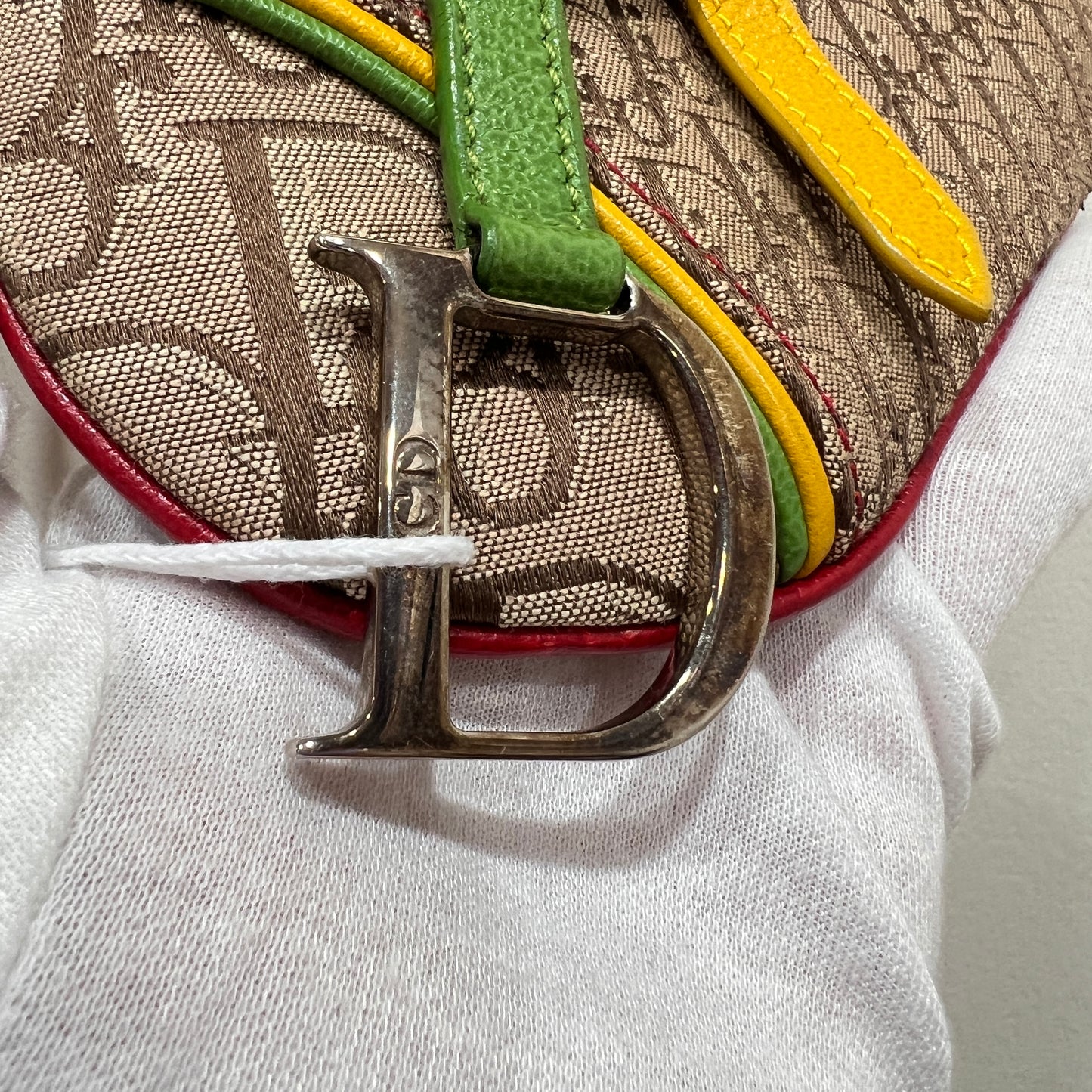 DIOR Rasta Trotter Belt Bag