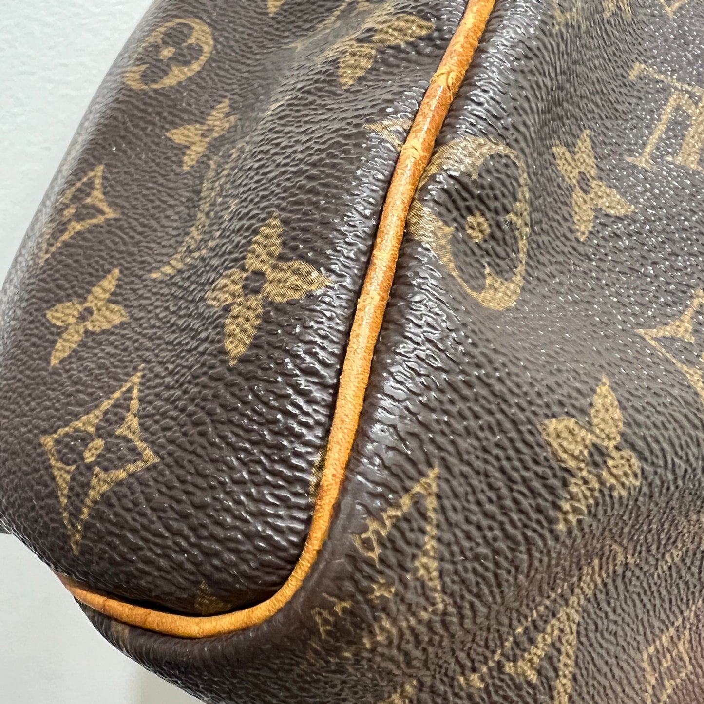 LOUIS VUITTON Speedy 25 cm