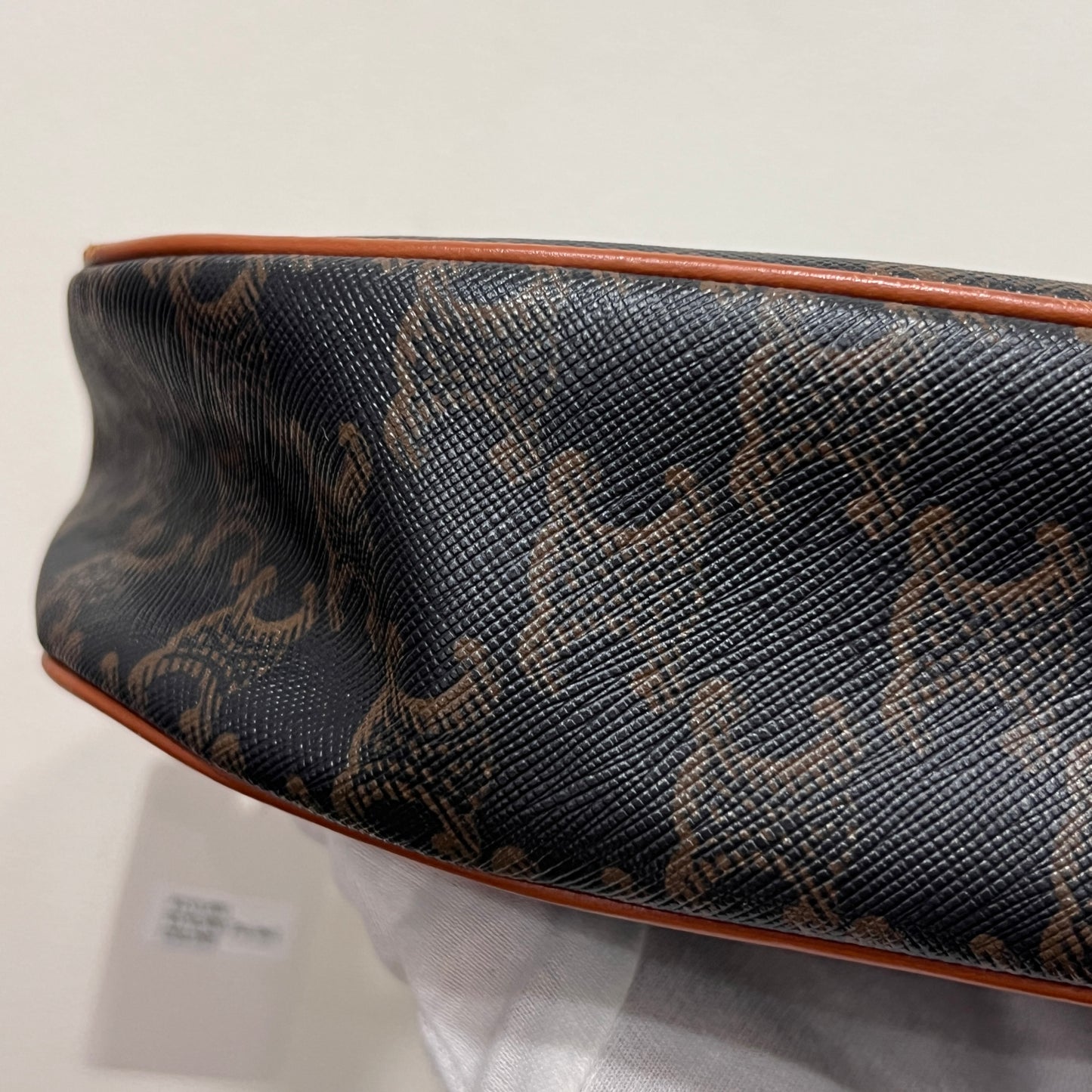 CELINE Ava Bag Triomphe Canvas