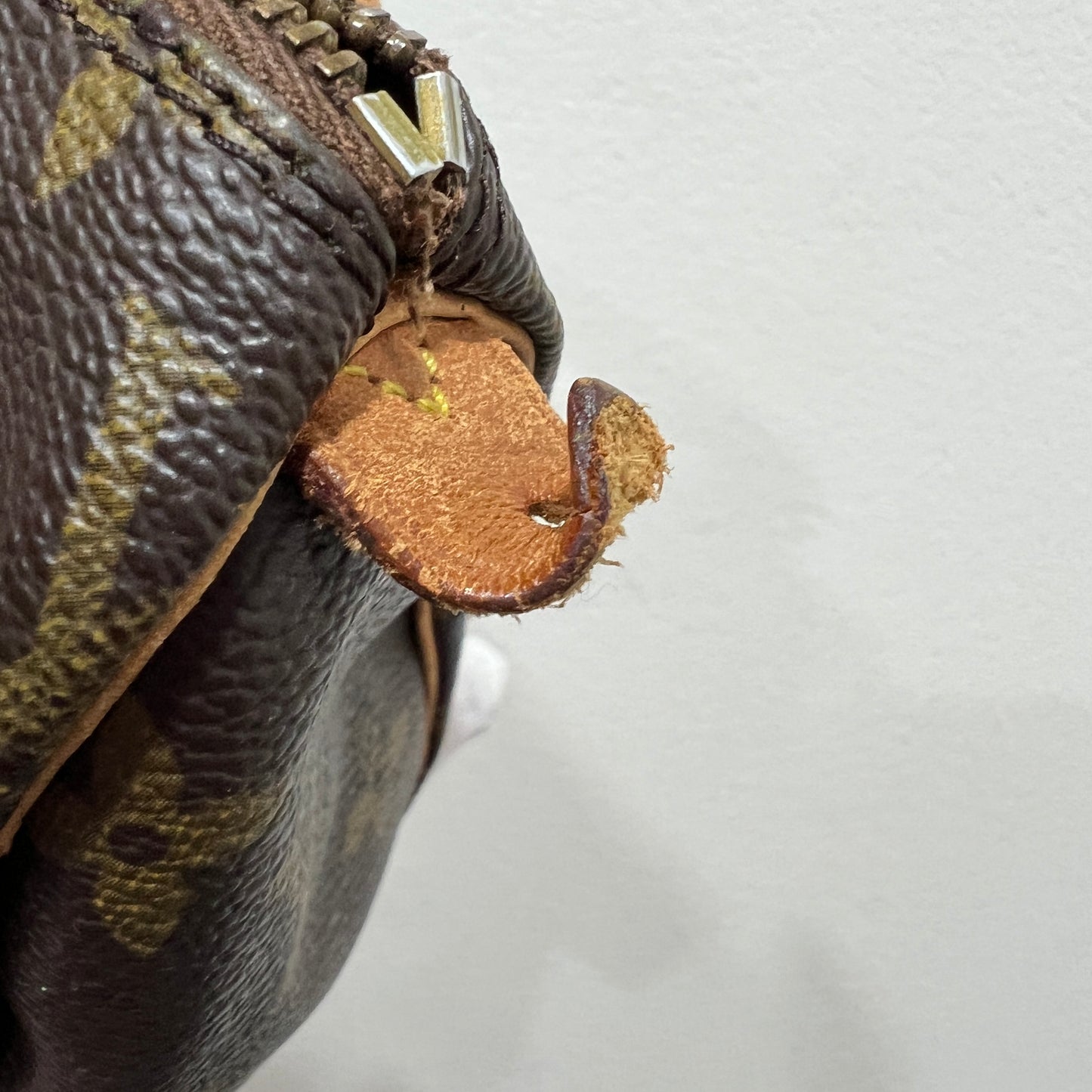 LOUIS VUITTON Nano Speedy