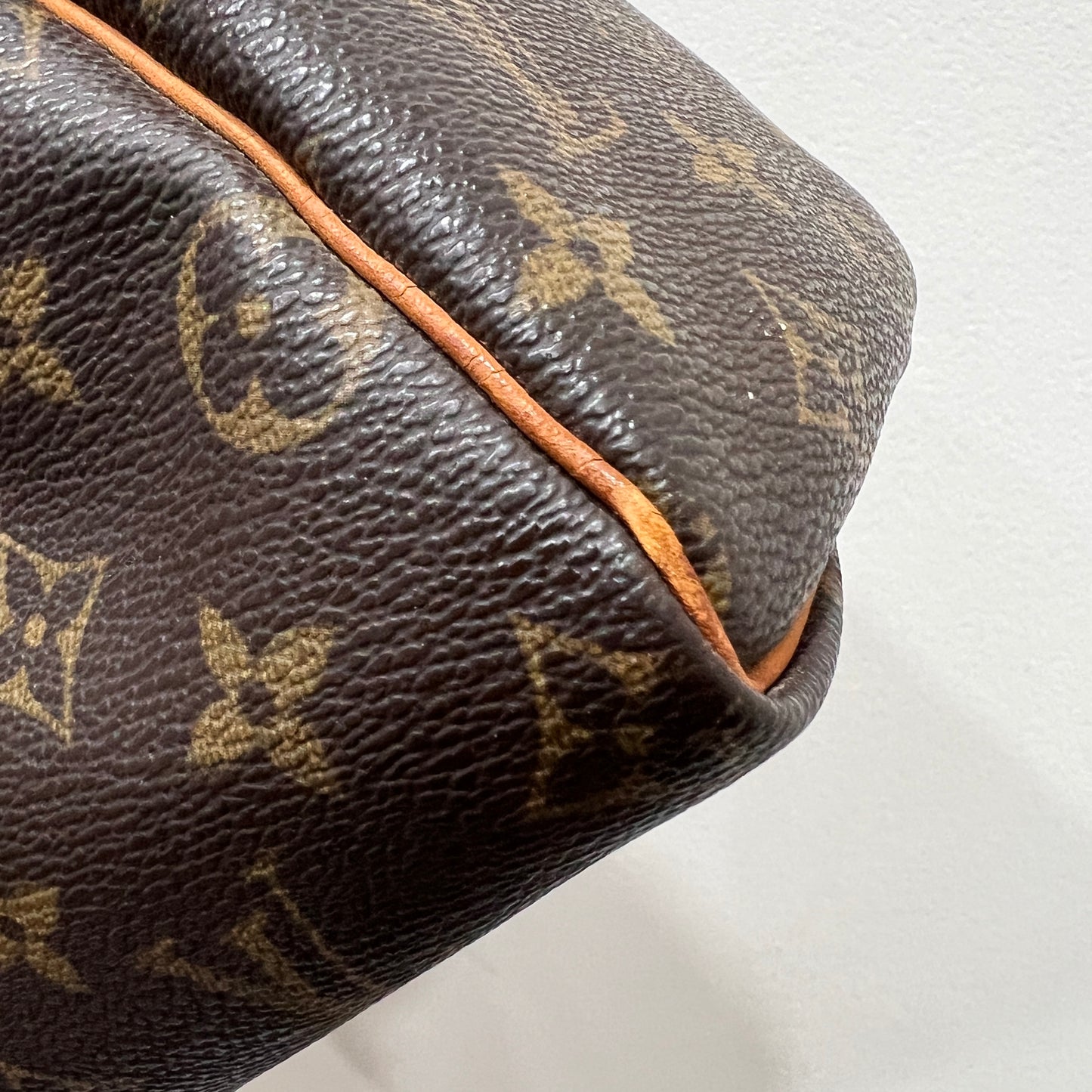 LOUIS VUITTON Speedy 25