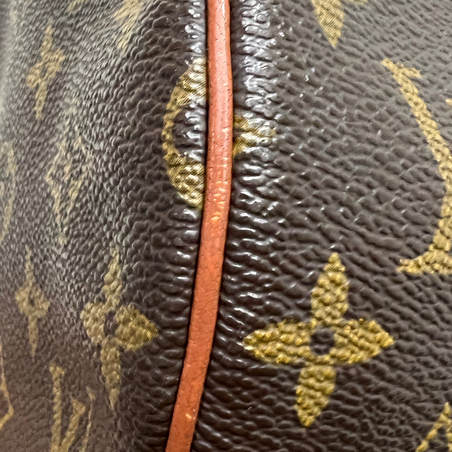LOUIS VUITTON Papillon Monogram 30cm
