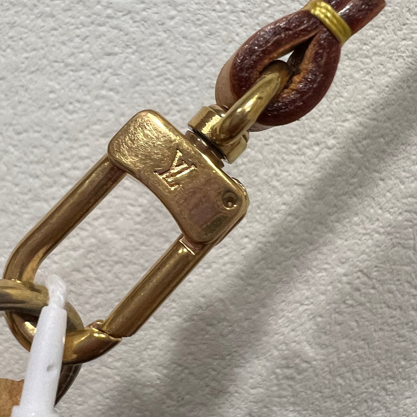 LOUIS VUITTON Accessory Pochette (CA0070)