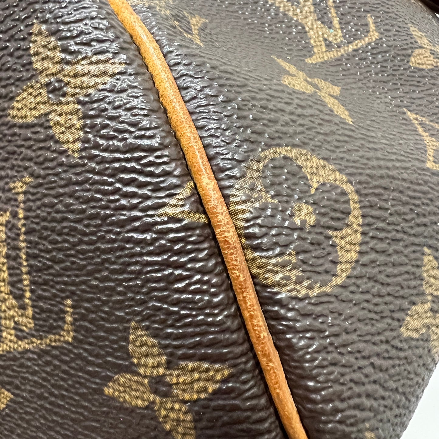 LOUIS VUITTON Speedy 25 cm