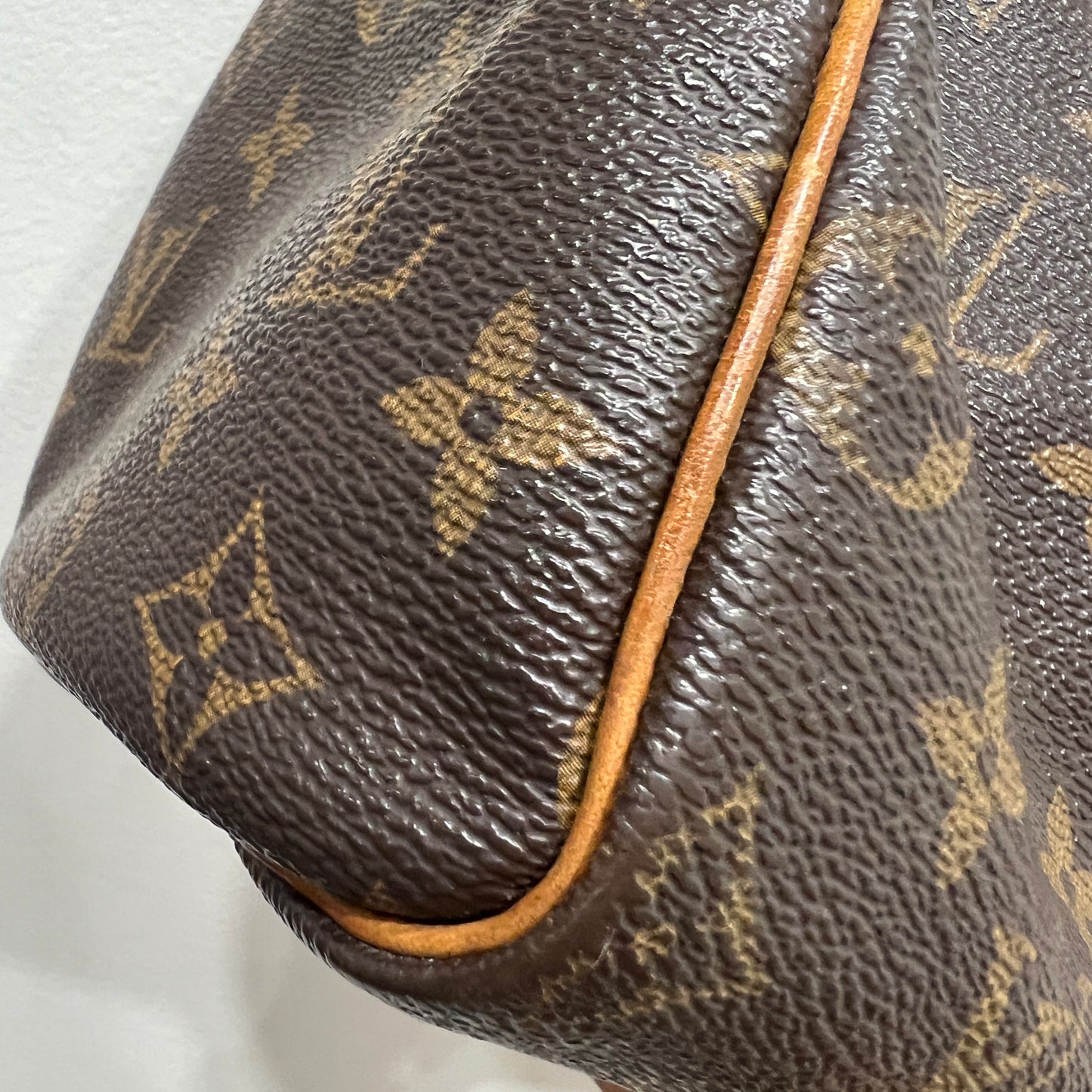 LOUIS VUITTON Speedy 25 cm