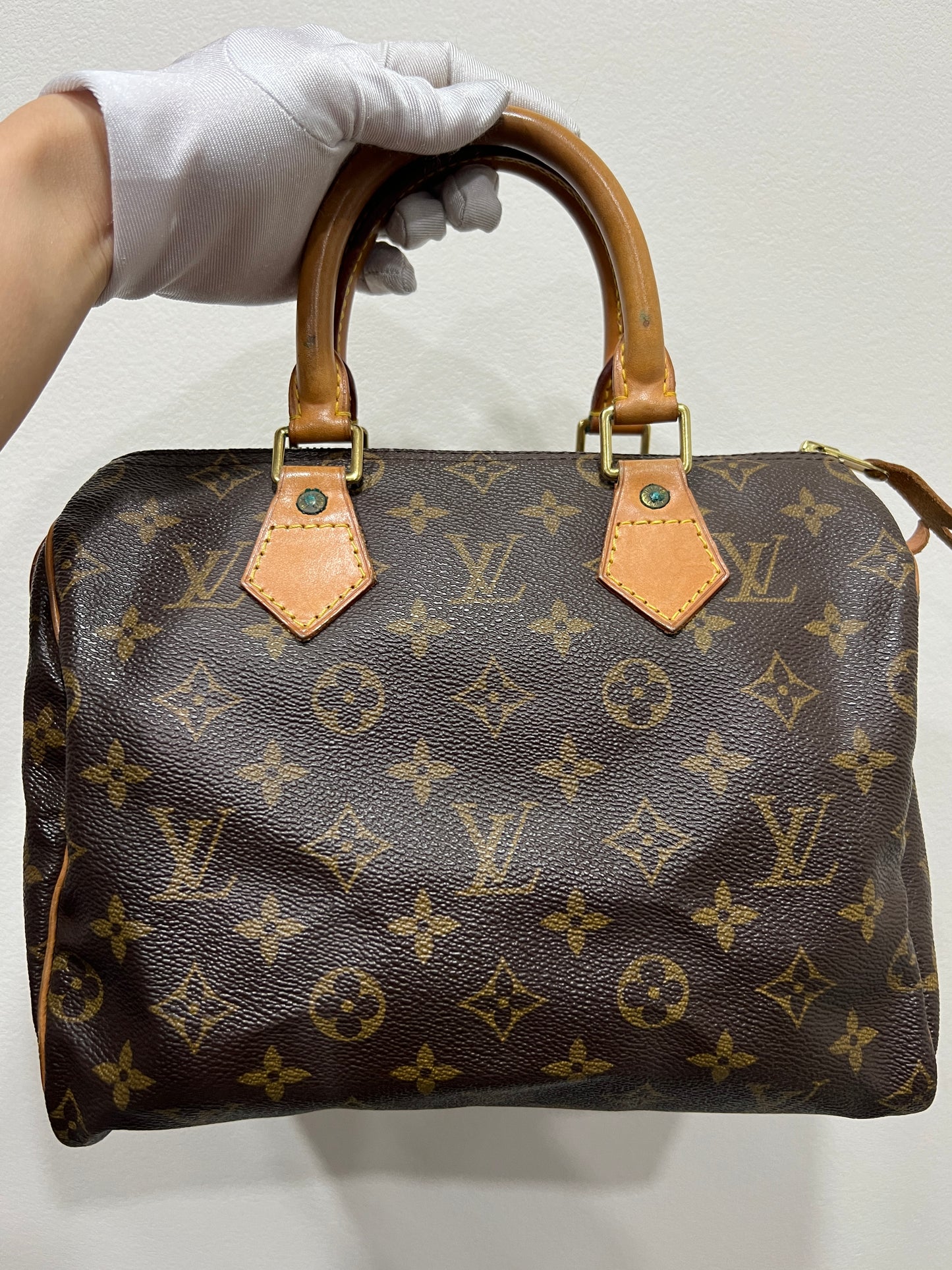 LOUIS VUITTON Speedy 25