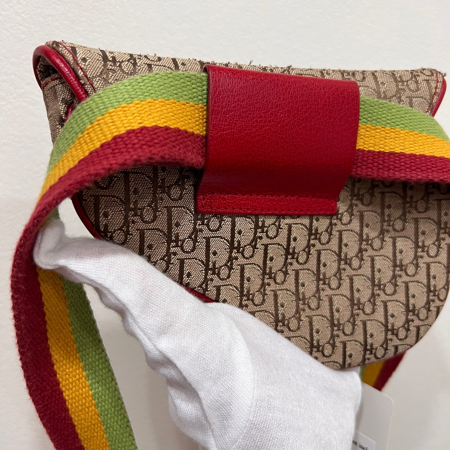 DIOR Rasta Trotter Belt Bag