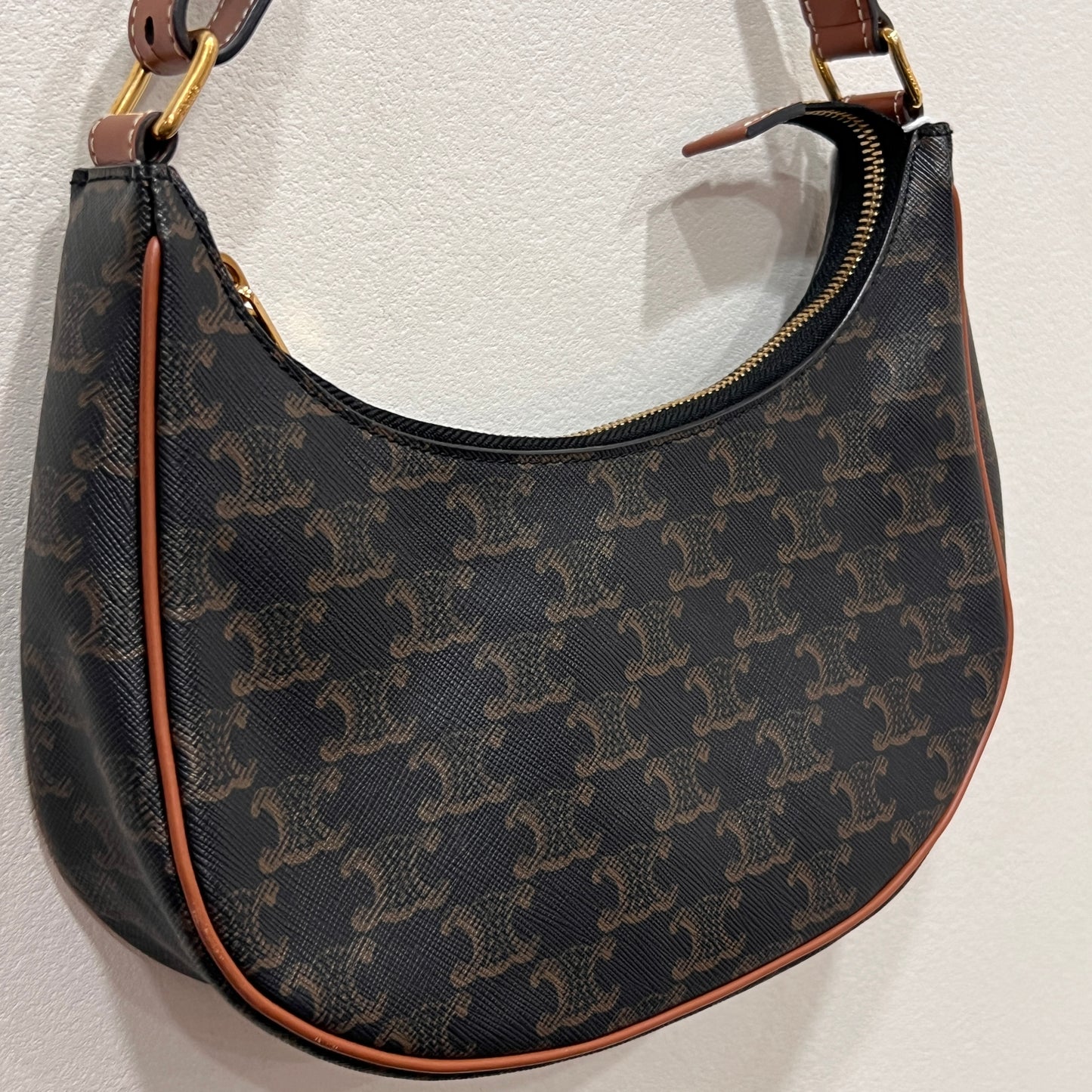 CELINE Ava Bag Triomphe Canvas