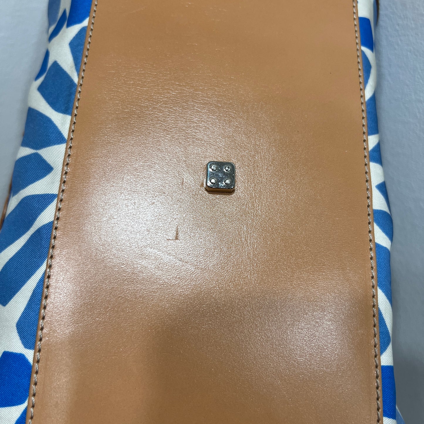 LOEWE Amazona in Blue