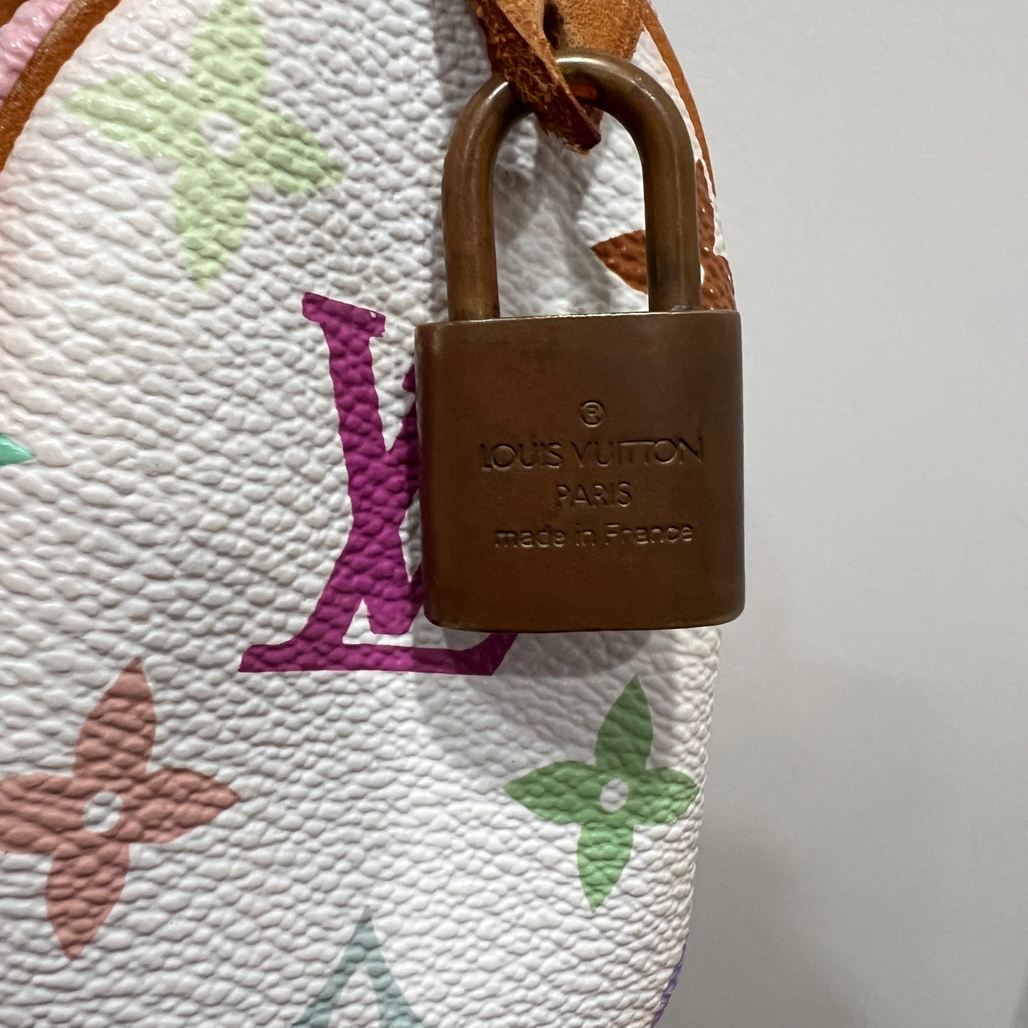 LOUIS VUITTON X MURAKAMI Nano Speedy
