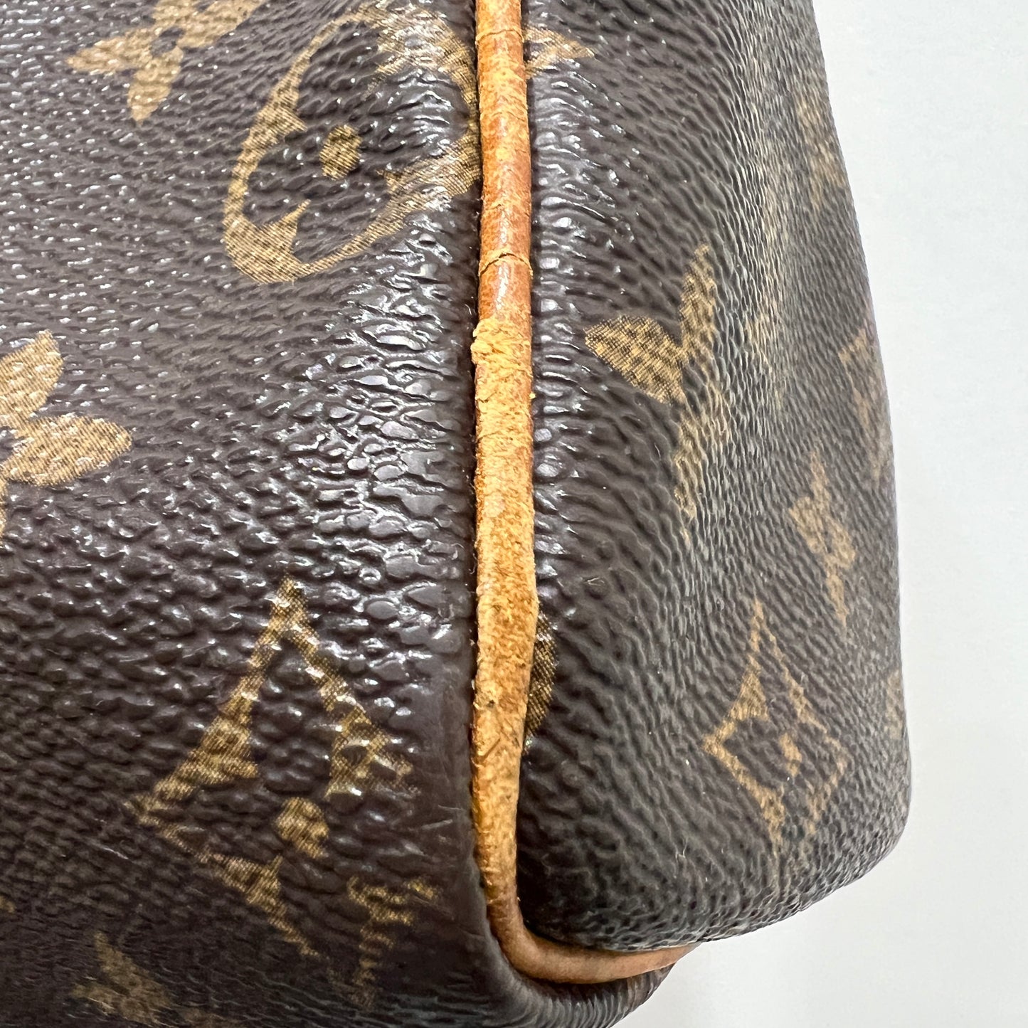 LOUIS VUITTON Speedy 25 cm