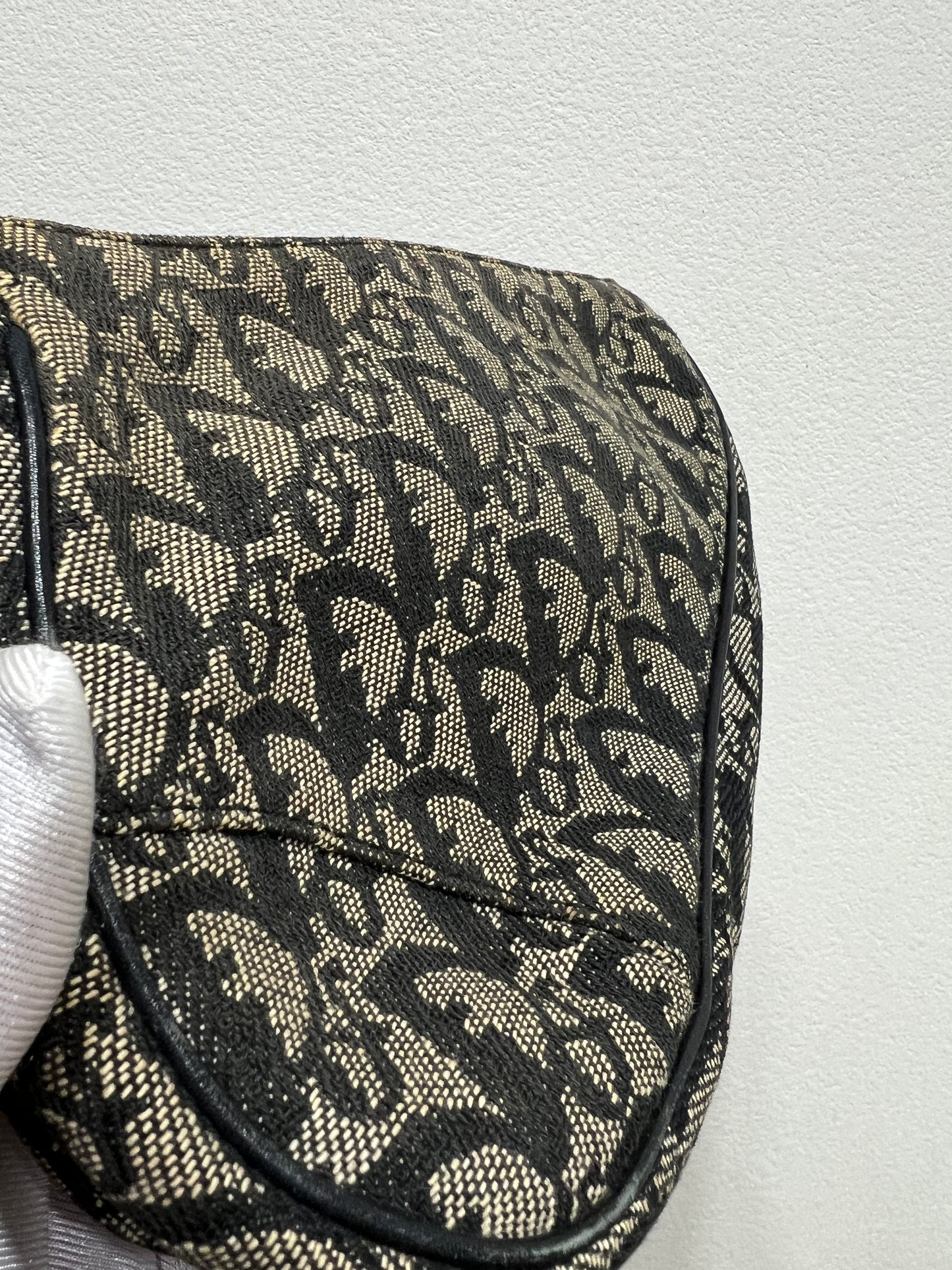 Dior Oblique Saddle Bag