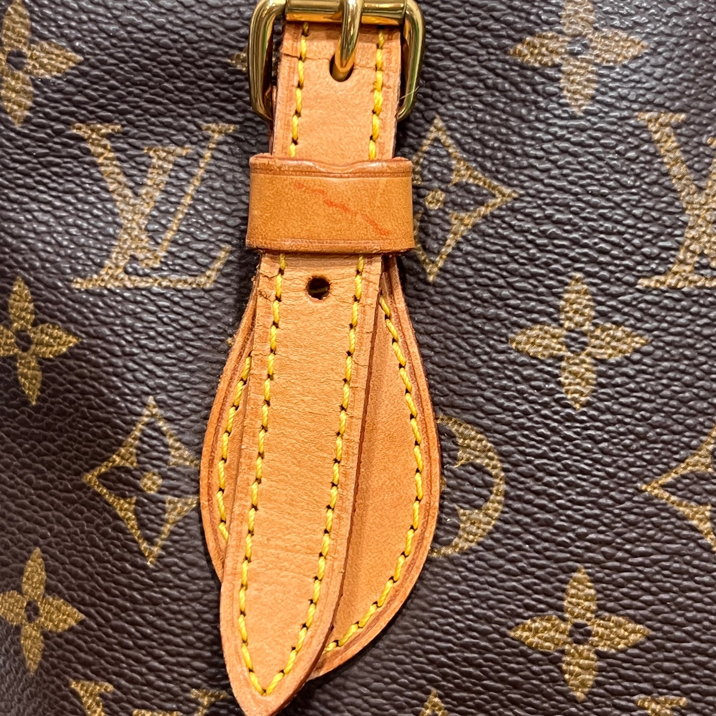 LOUIS VUITTON Bucket Bag PM