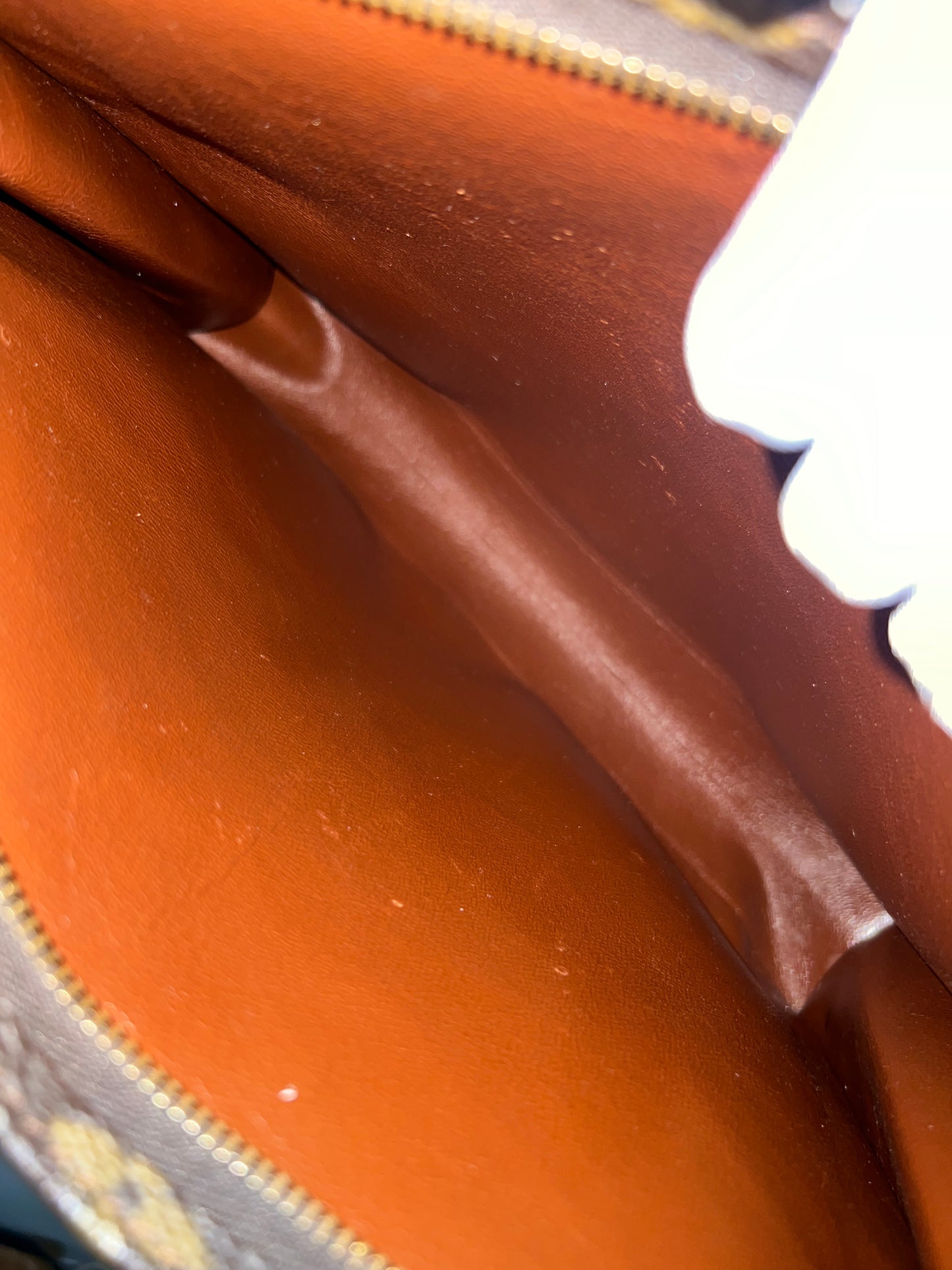 LOUIS VUITTON Cosmetic Pouch