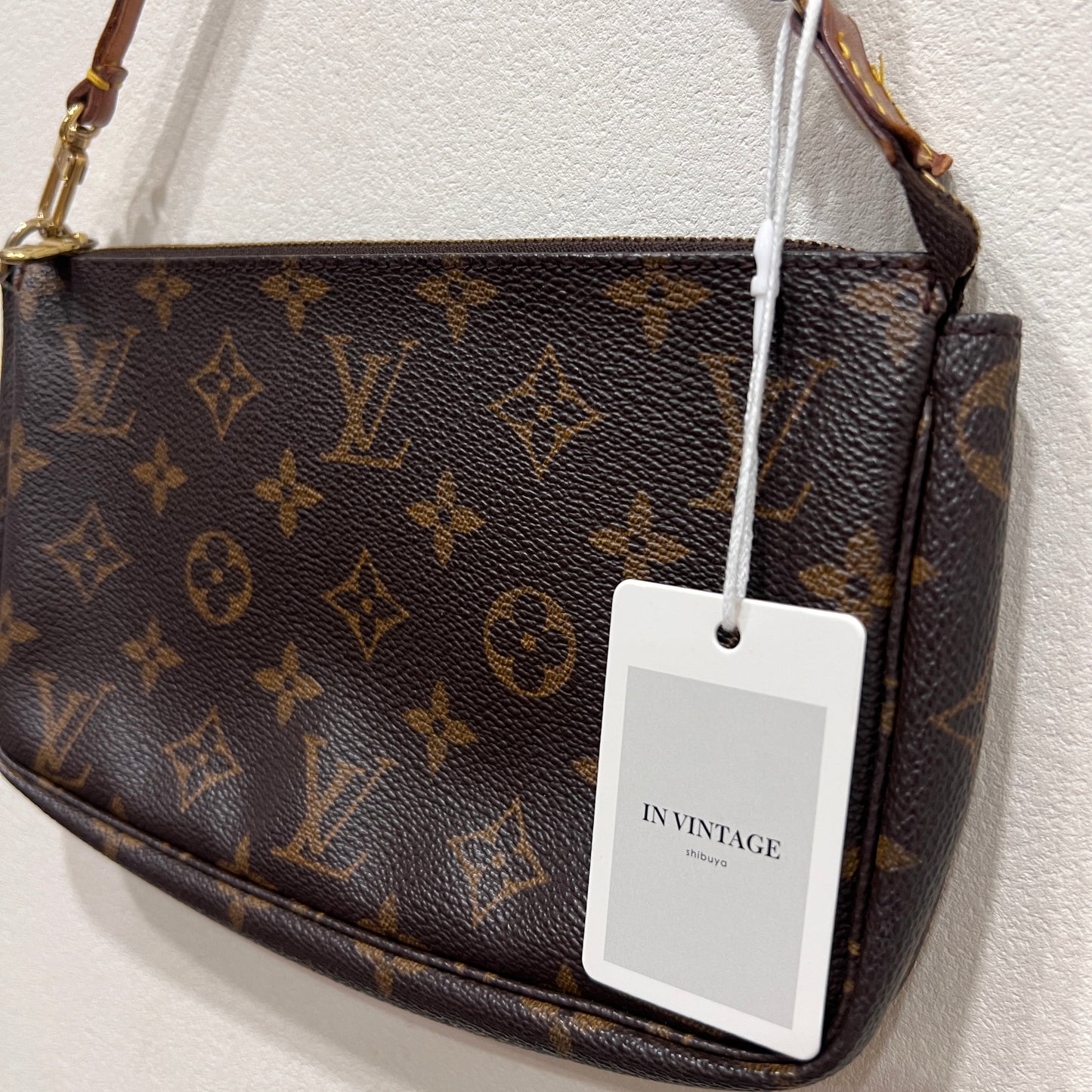 LOUIS VUITTON Accessory Pochette (28-5)