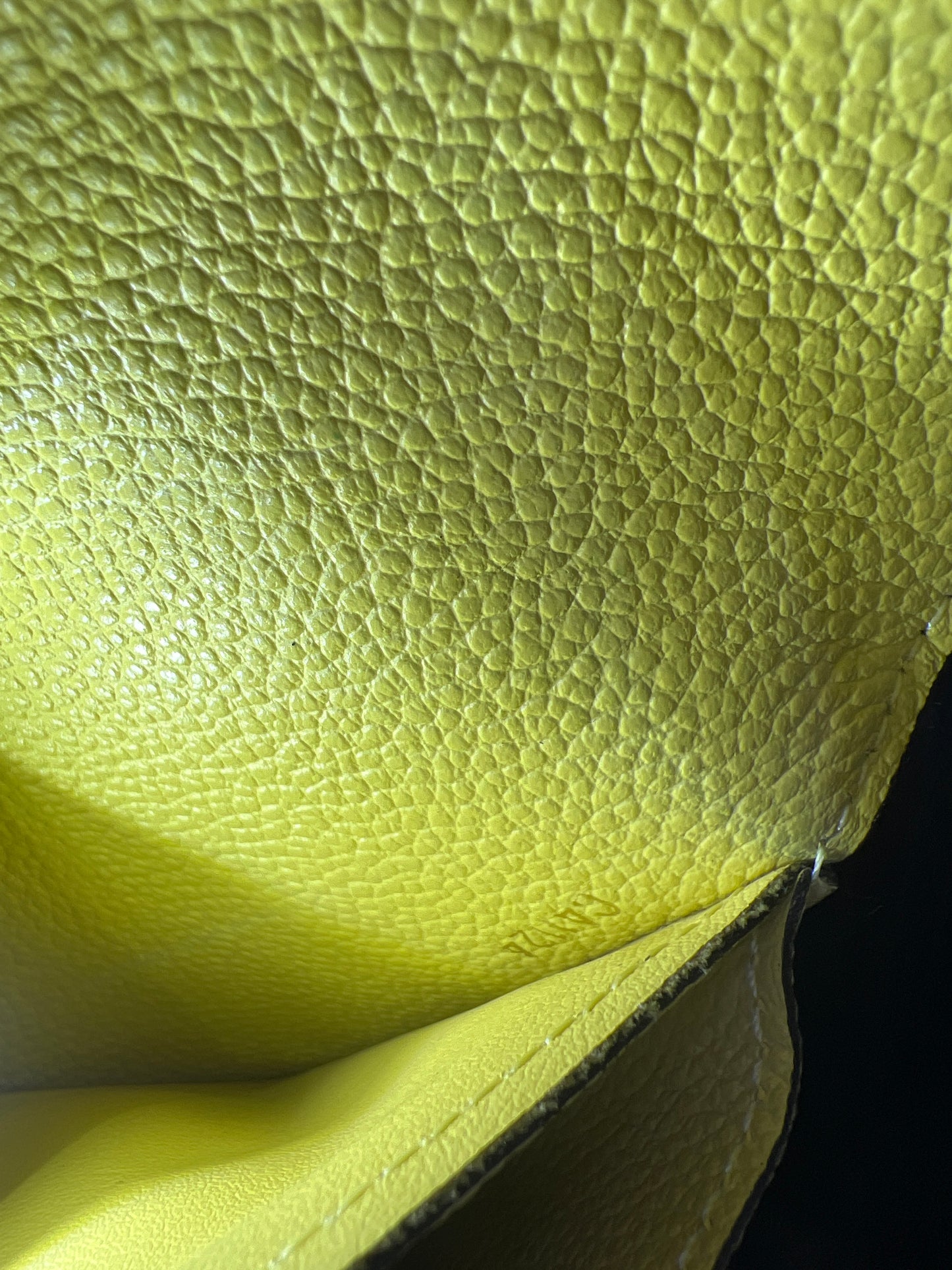 LOUIS VUITTON Empreinte Citrine Leather