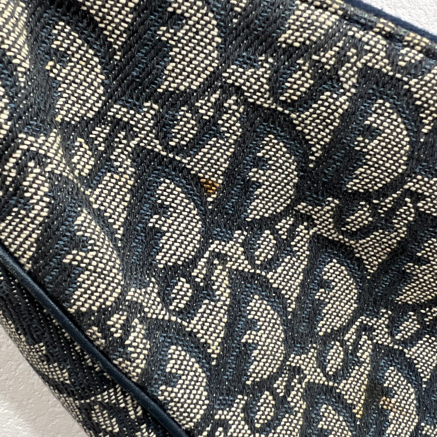 DIOR Saddle