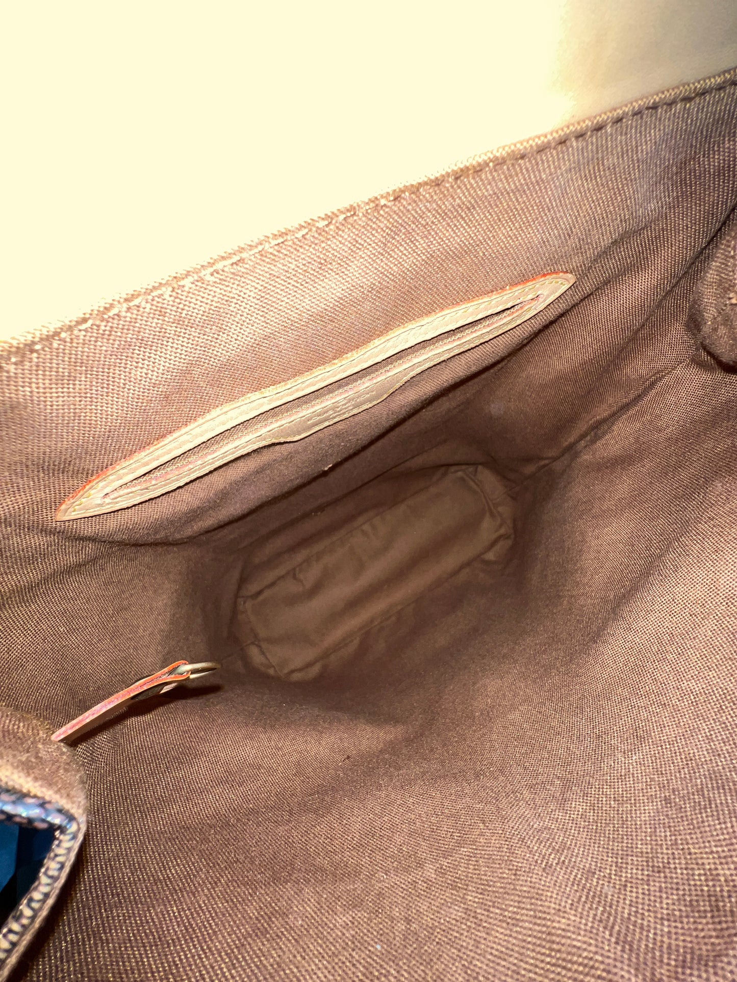 LOUIS VUITTON Arlequin Damier Backpack