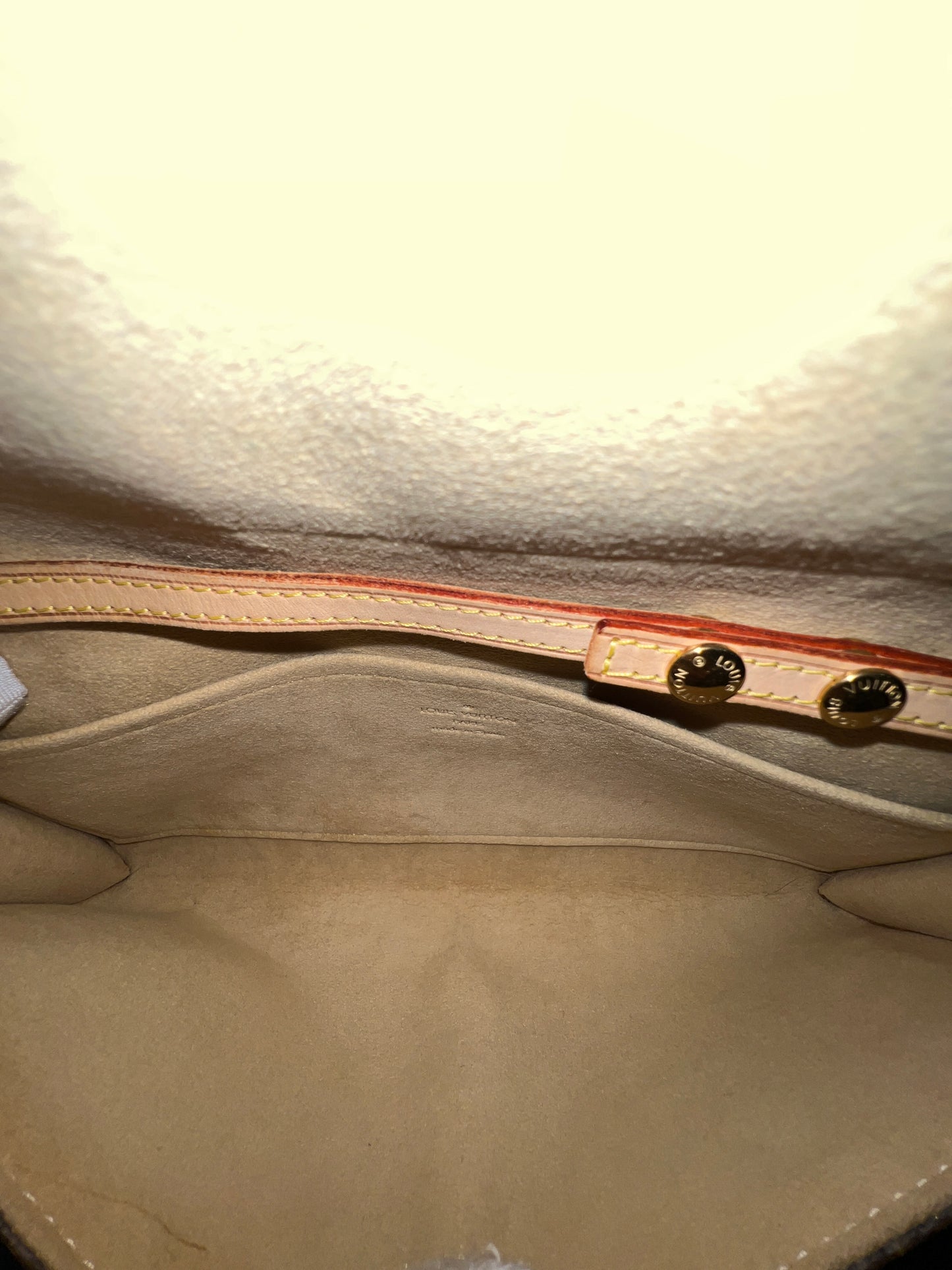 LOUIS VUITTON Pochette Twin GM Bag