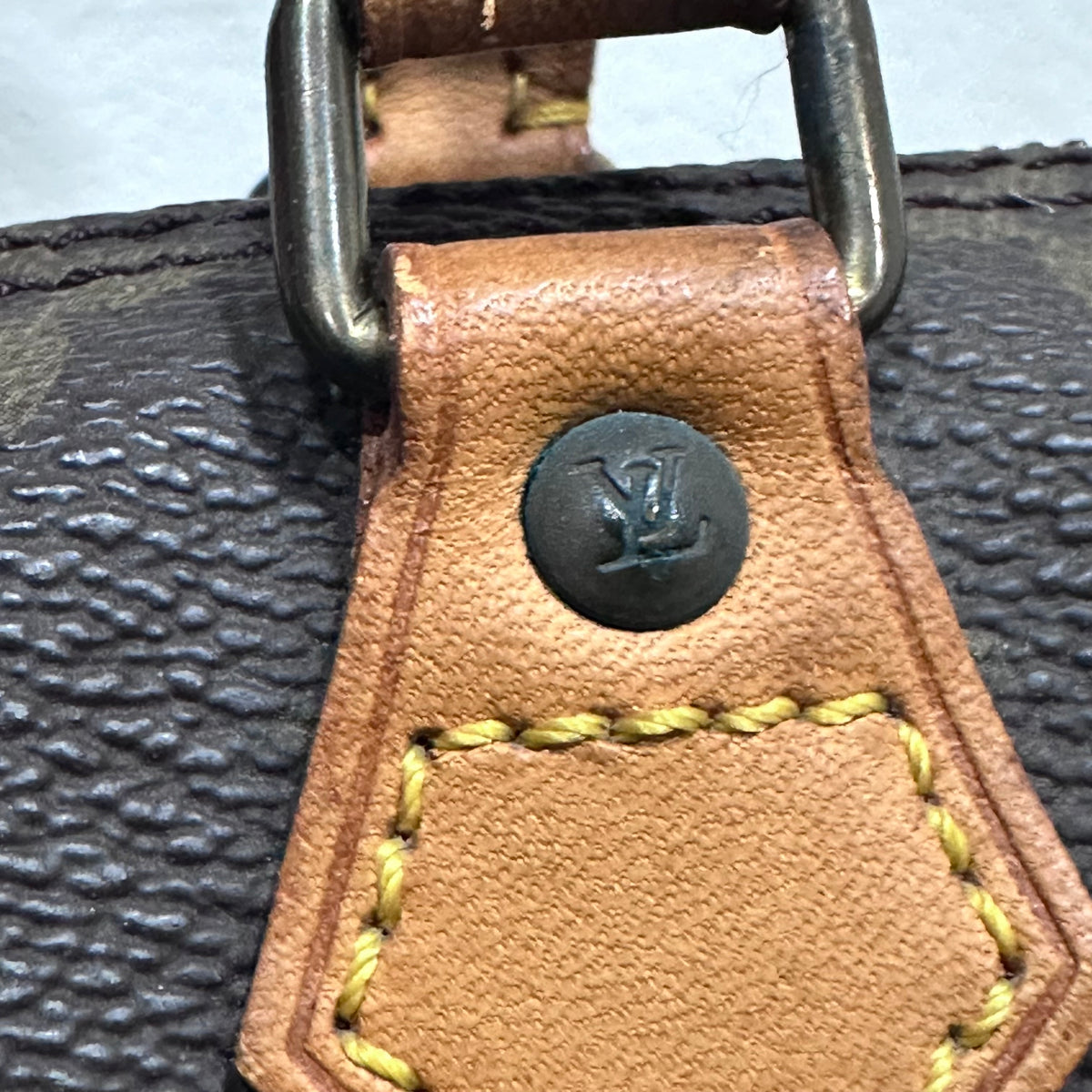 LOUIS VUITTON Nano Speedy Monogram