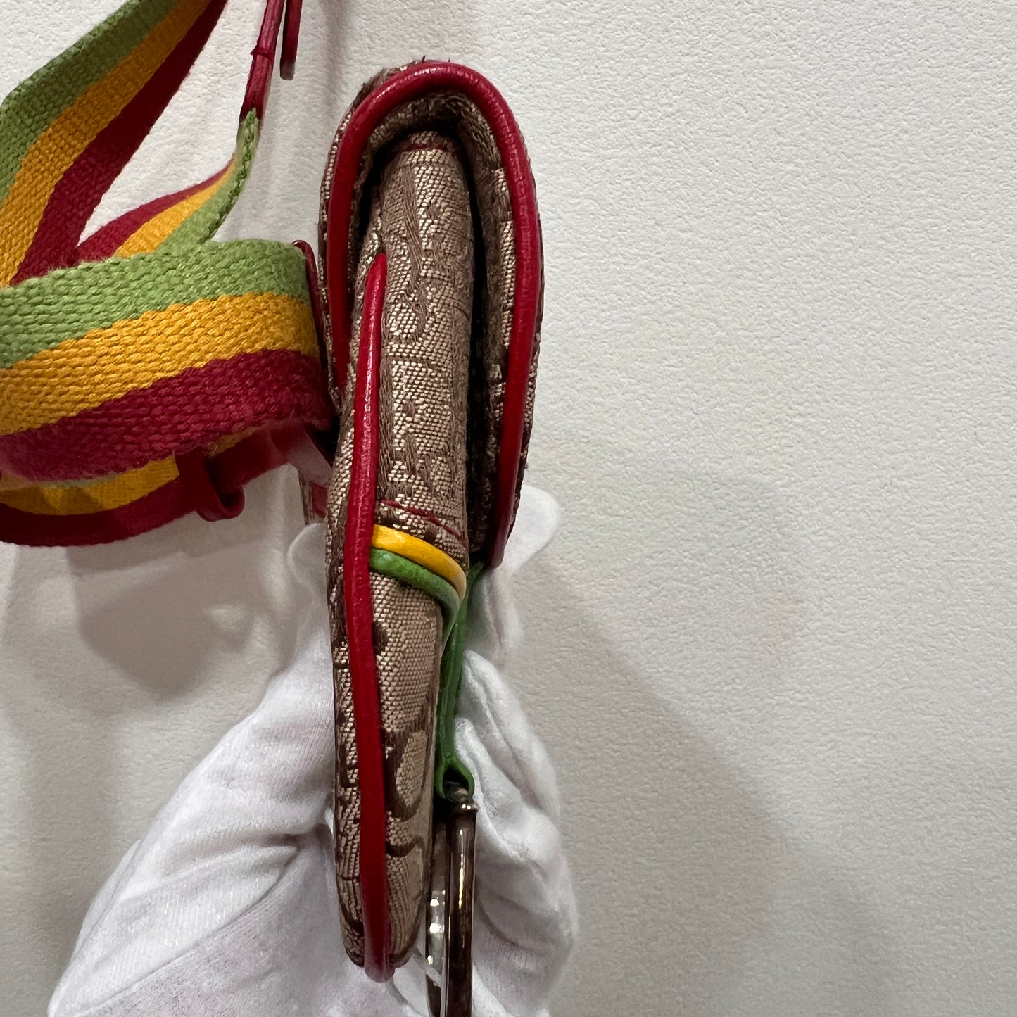 DIOR Rasta Trotter Belt Bag