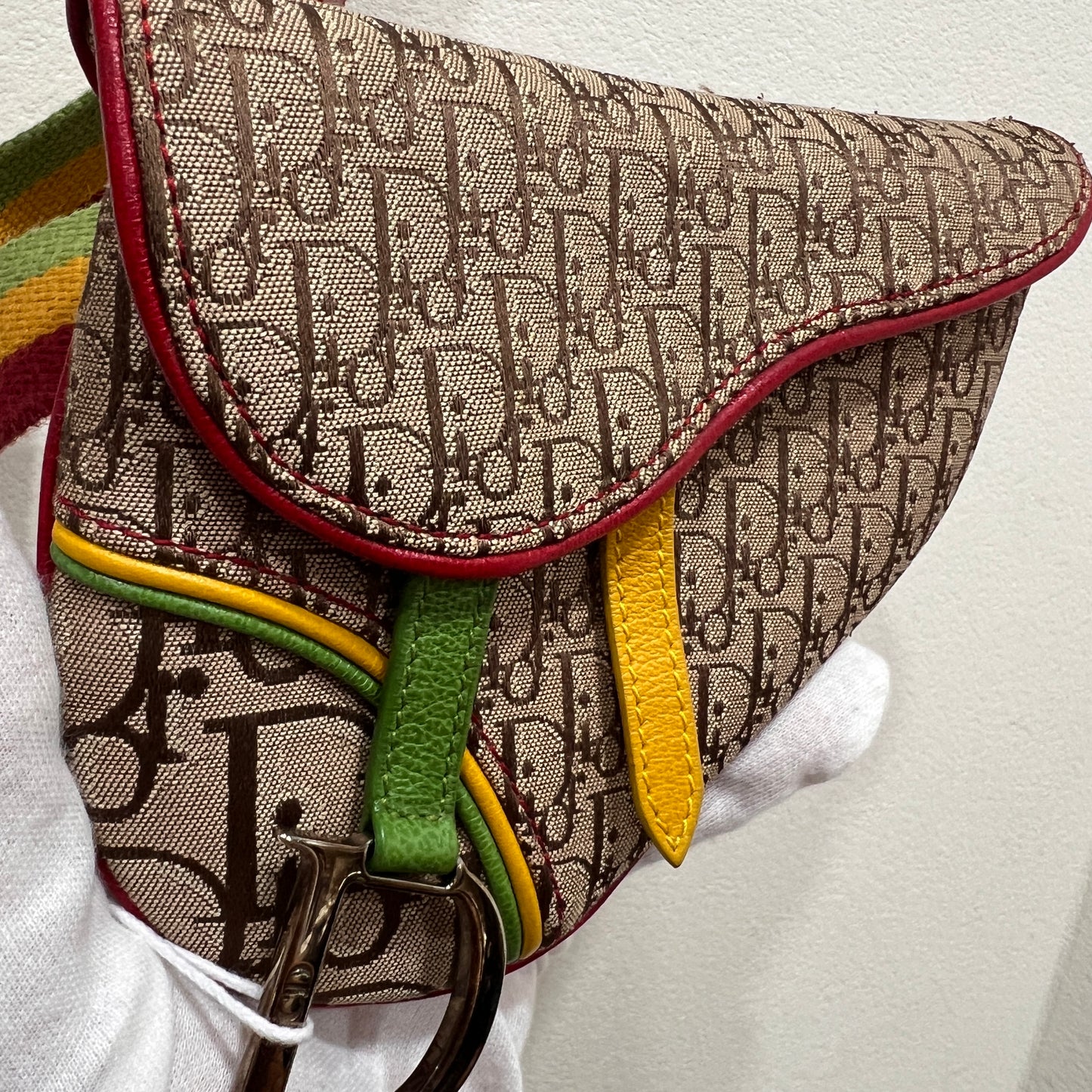 DIOR Rasta Trotter Belt Bag