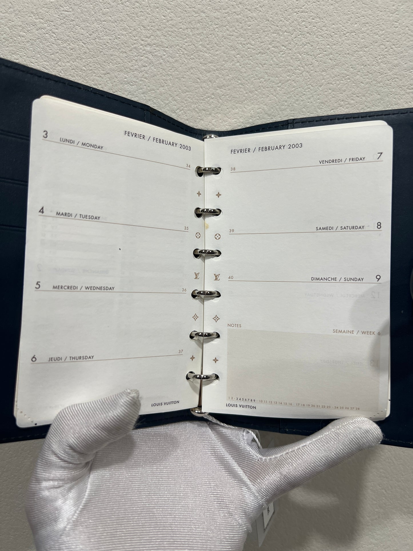 LOUIS VUITTON Agenda Blue Monogram