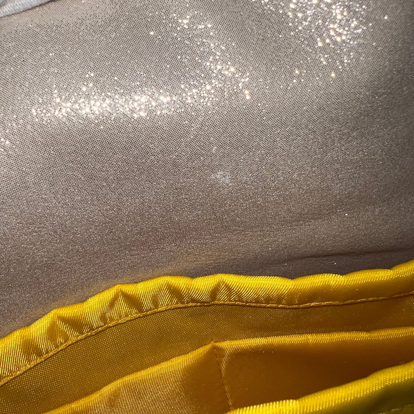 FENDI BAGUETTE Glitter Gray Nappa Leather