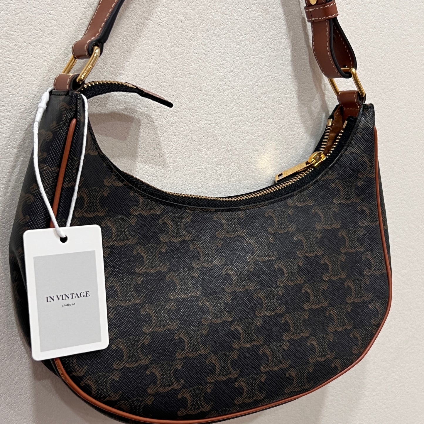 CELINE Ava Bag Triomphe Canvas