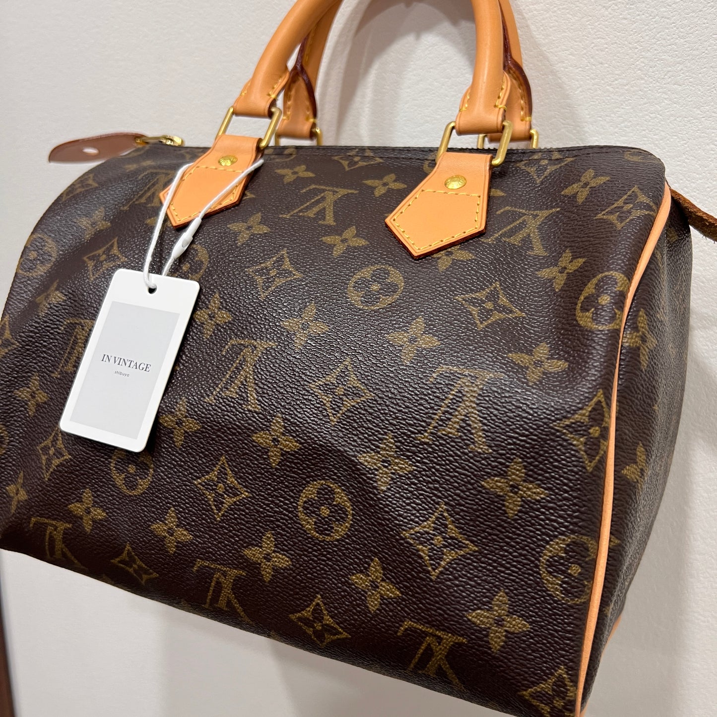 LOUIS VUITTON Speedy 25 (Vachetta Replaced!)