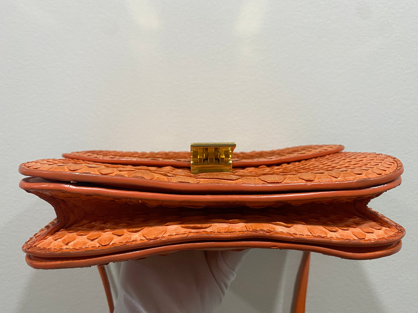 CELINE Phyton Box Shoulder Bag