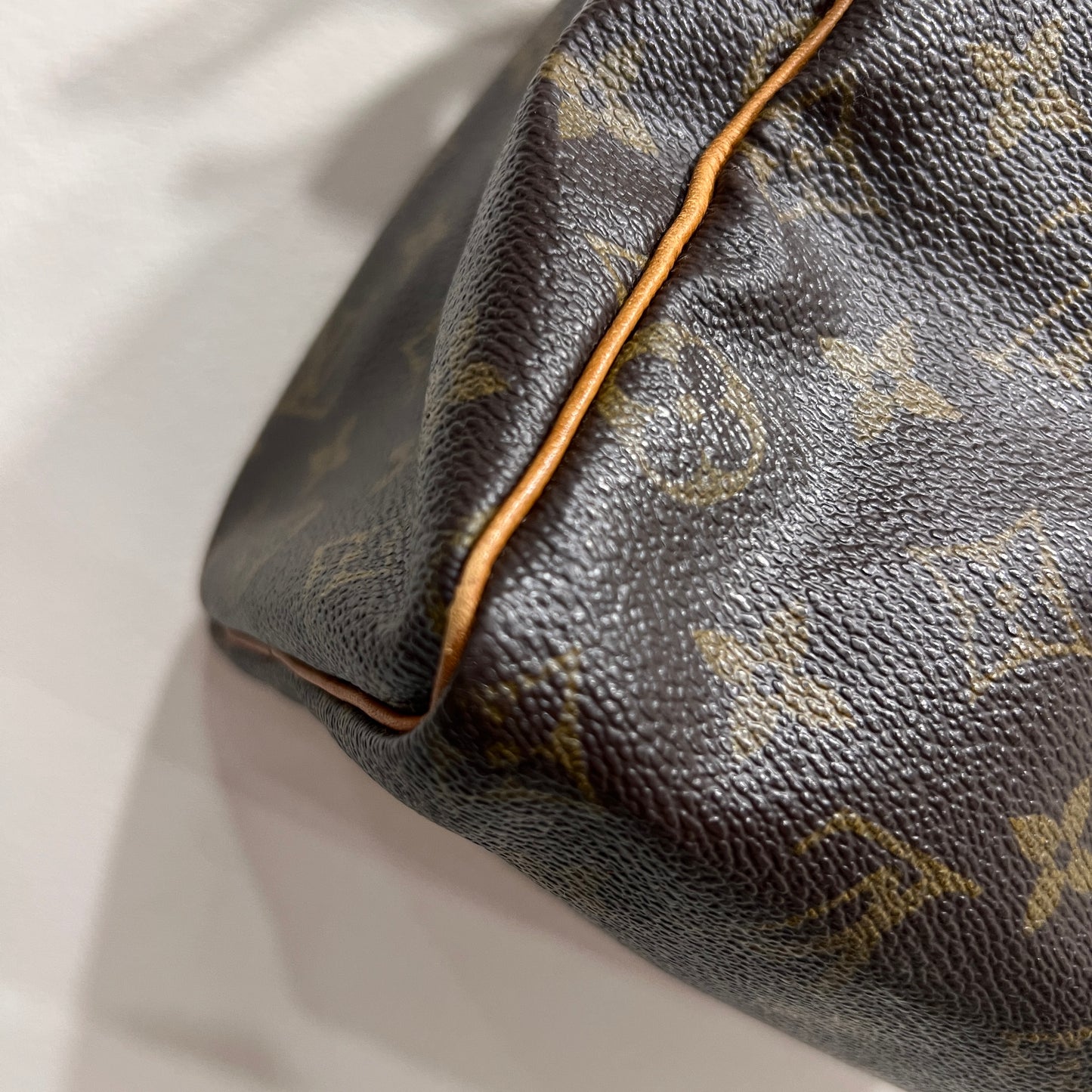 LOUIS VUITTON Speedy 25cm