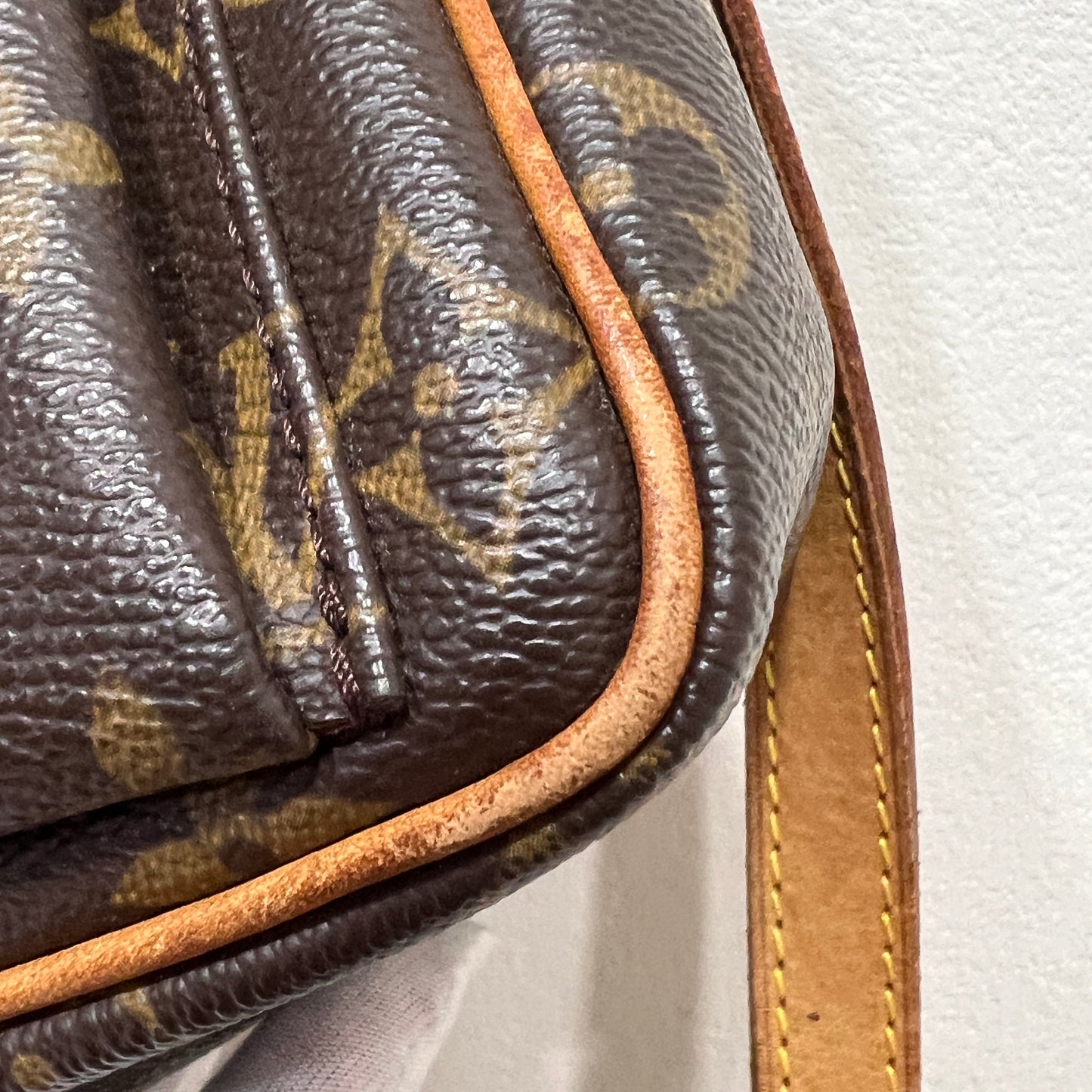 LOUIS VUITTON Cite Crossbody